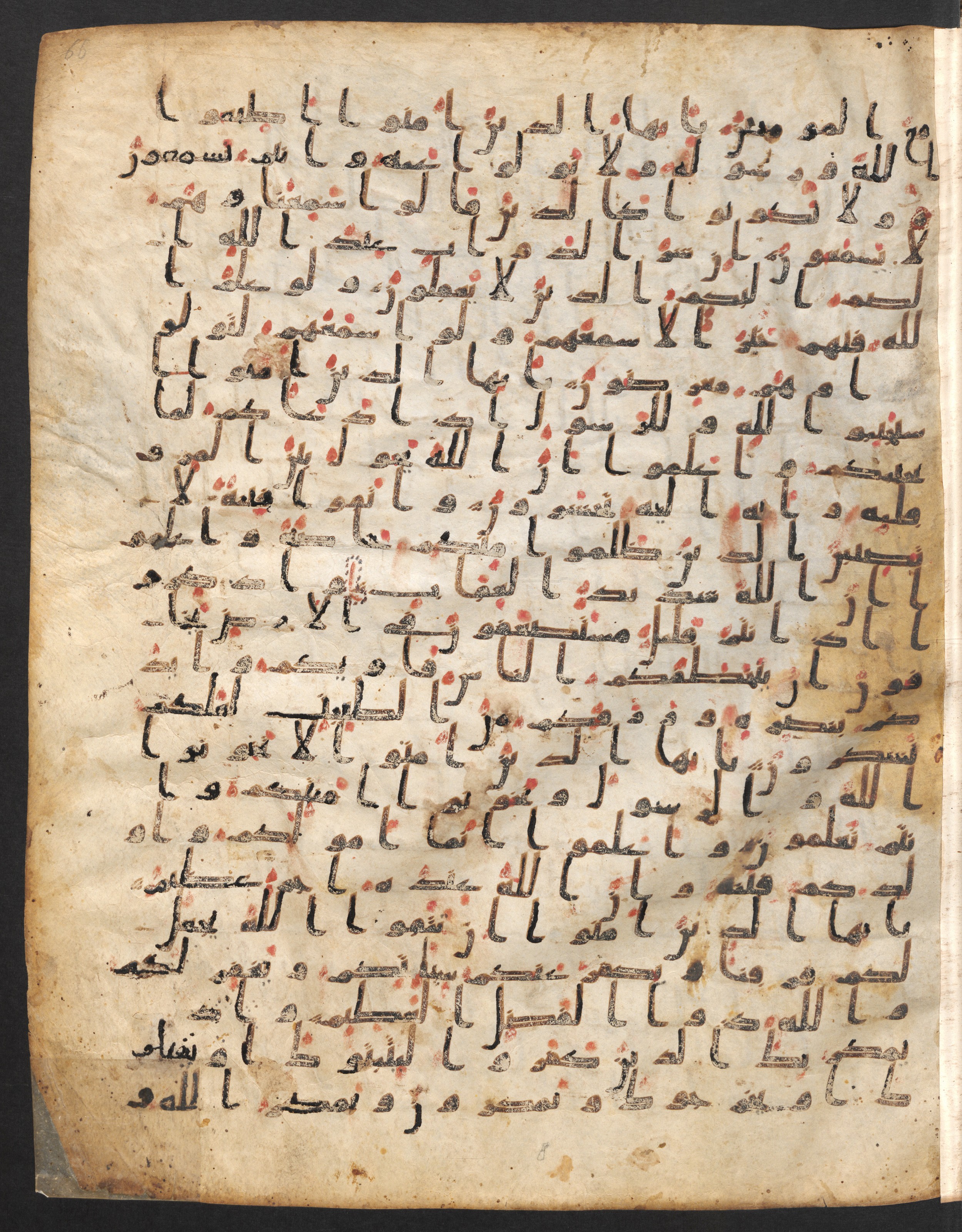 Staatsbibliothek zu Berlin, Ms. or. fol. 4313 (Scan 4), in Ḥiǧāzī (close to type II) script, showing Surah 8:21 from Mid to Late 7th Century AD found in Fustat (Old Cairo), Egypt, currently housed at Staatsbibliothek zu Berlin, Berlin