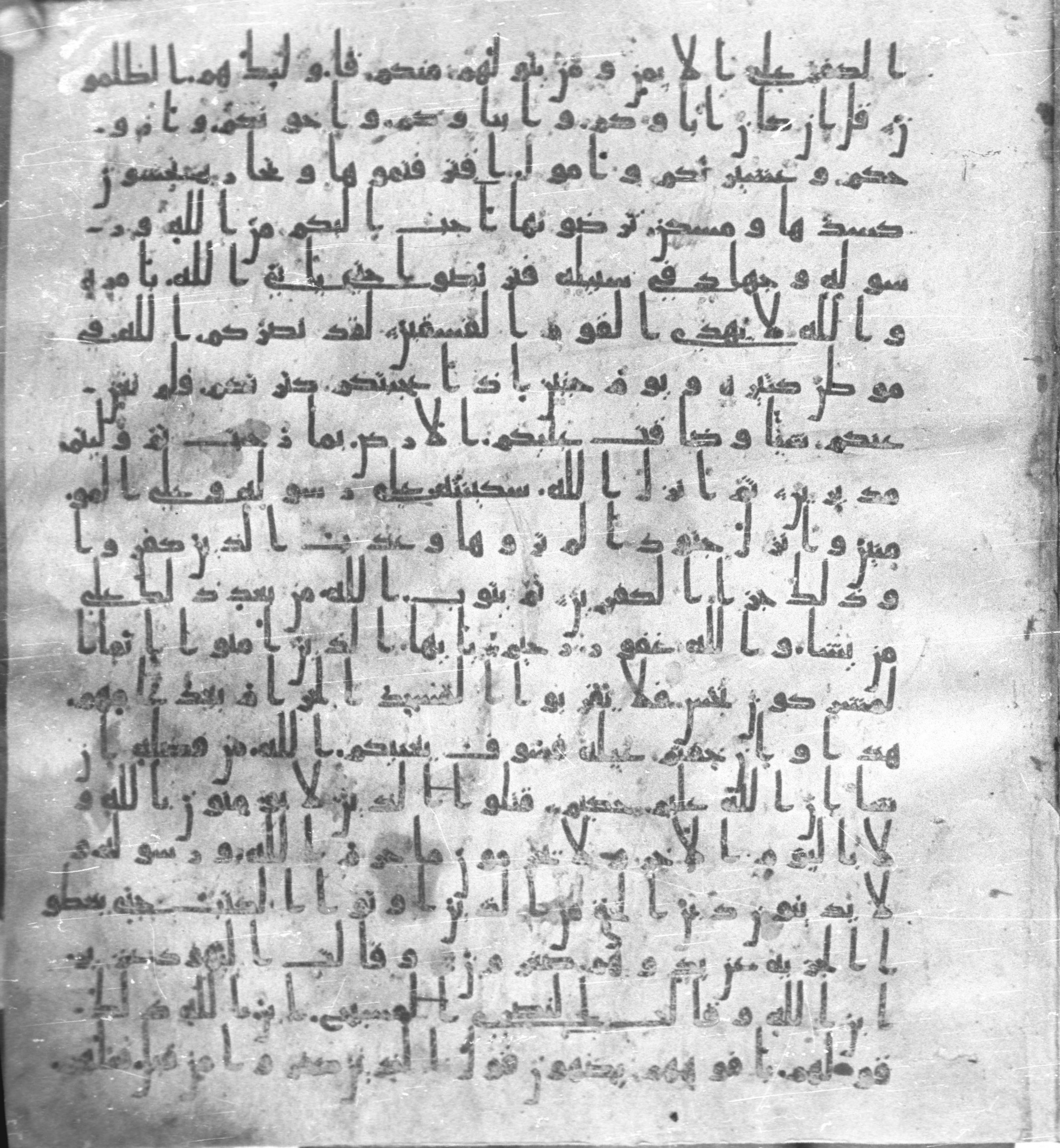 Staatsbibliothek zu Berlin, Ms. or. fol. 4313 (Scan 4), in Ḥiǧāzī (close to type II) script, showing Surah 9:29 from Mid to Late 7th Century AD found in Fustat (Old Cairo), Egypt, currently housed at Staatsbibliothek zu Berlin, Berlin