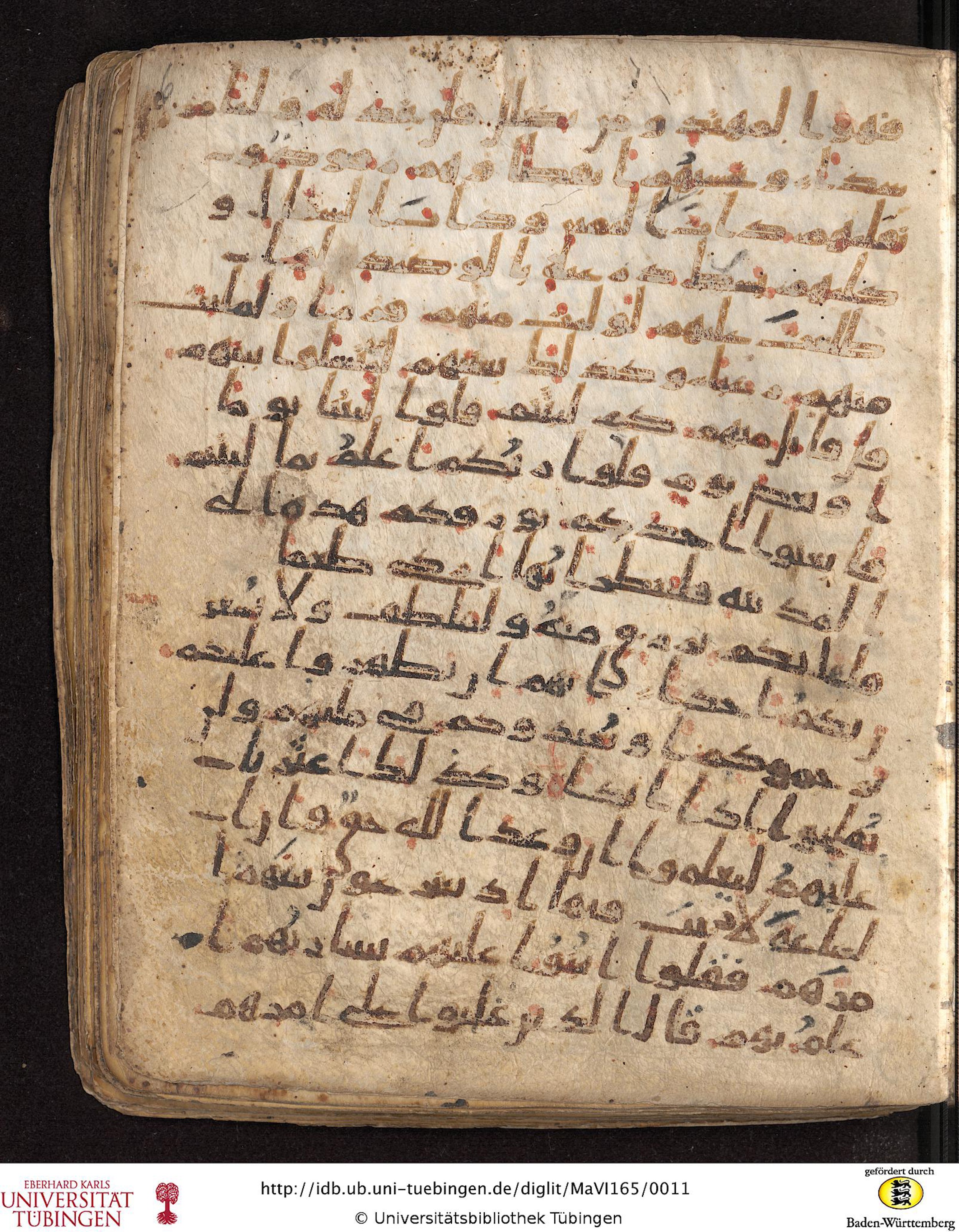 Staatsbibliothek zu Berlin, Ms. or. fol. 4313 (Scan 6), in Ḥiǧāzī (close to type II) script, showing Surah 18:21 from Mid to Late 7th Century AD found in Fustat (Old Cairo), Egypt, currently housed at Staatsbibliothek zu Berlin, Berlin
