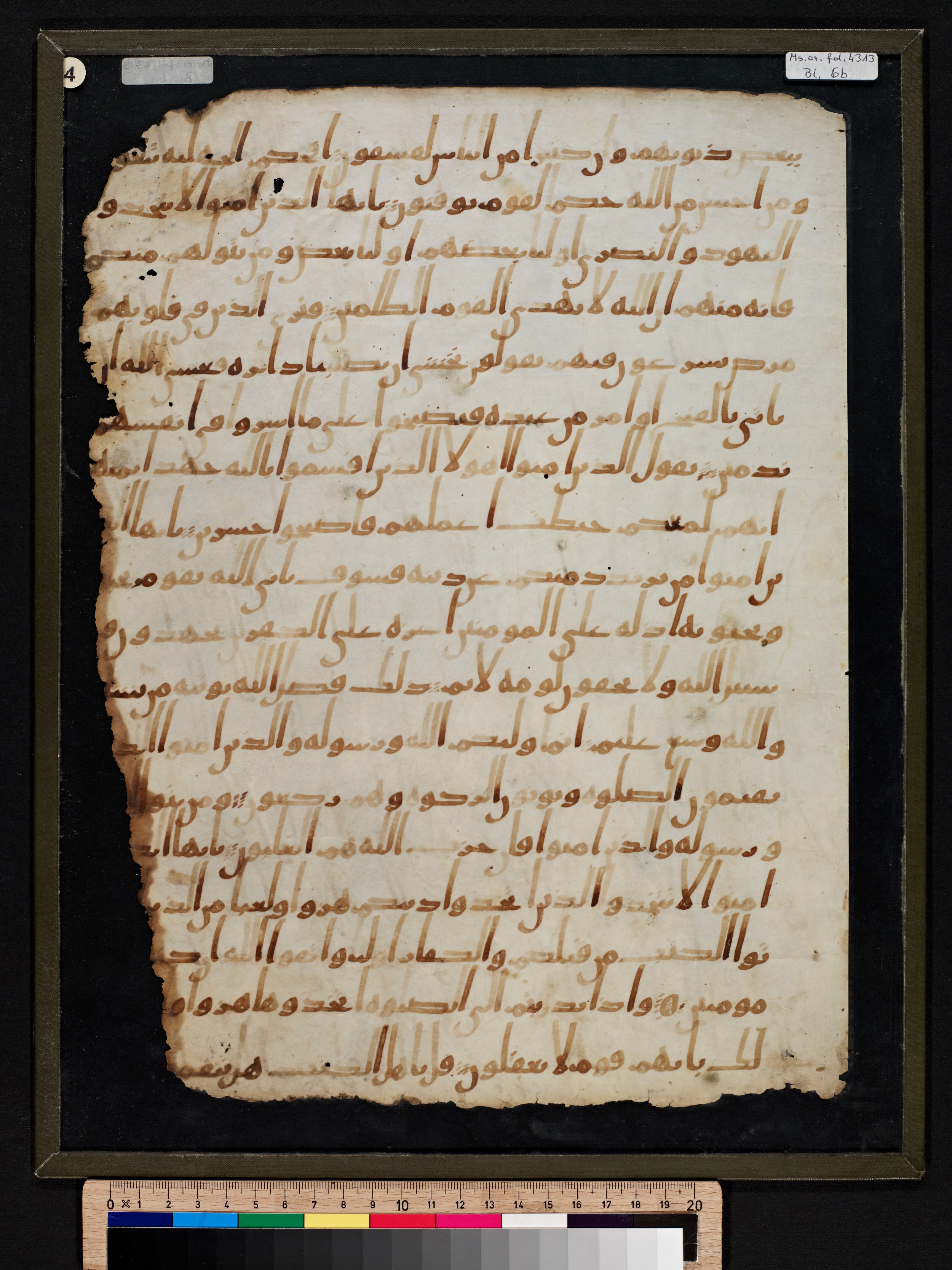 Staatsbibliothek zu Berlin, Ms. or. fol. 4313 (Scan 3), in Ḥiǧāzī (close to type II) script, showing Surah 5:56 from Mid to Late 7th Century AD found in Fustat (Old Cairo), Egypt, currently housed at Staatsbibliothek zu Berlin, Berlin