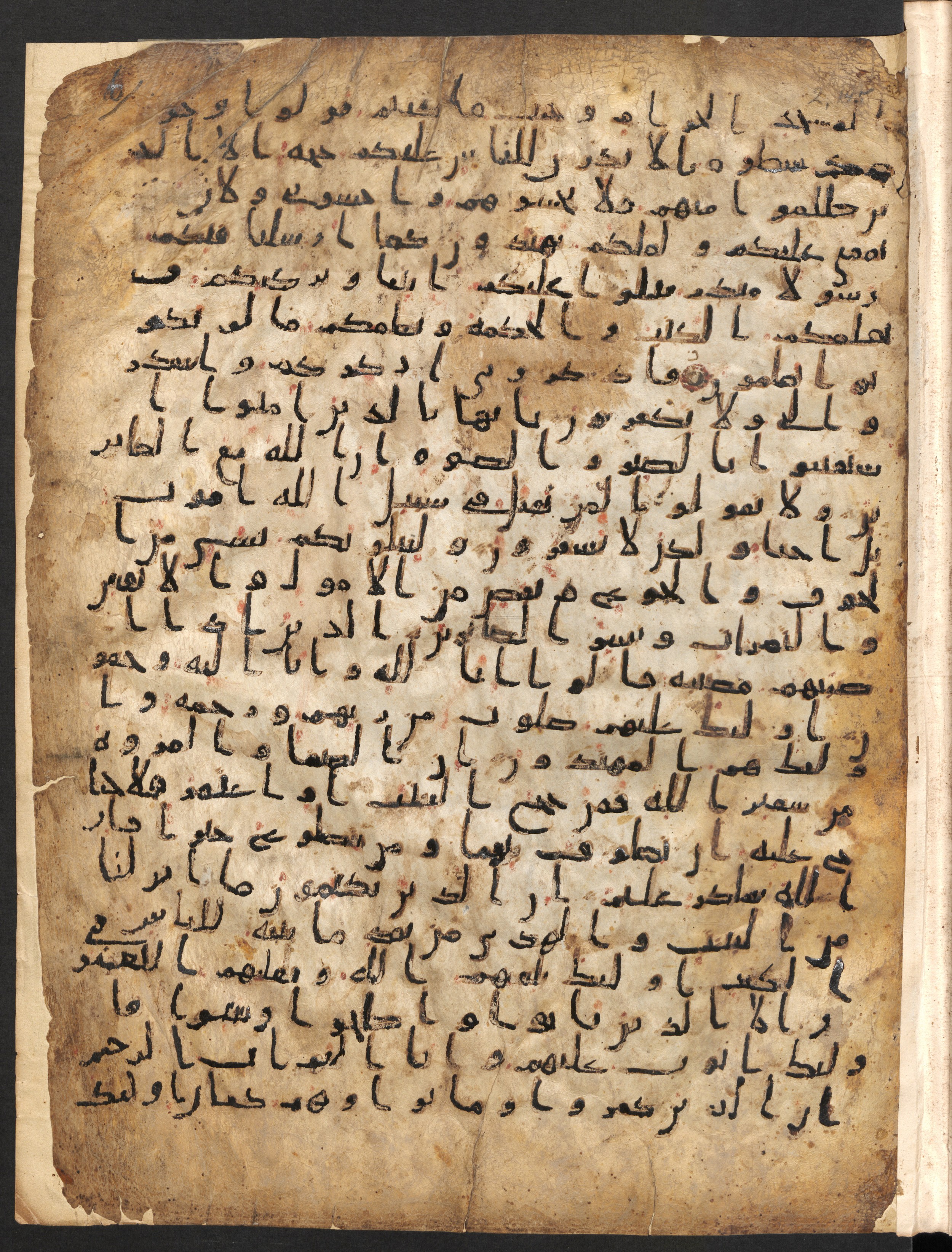 Staatsbibliothek zu Berlin, Ms. or. fol. 4313 (Scan 5), in Ḥiǧāzī (close to type II) script, showing Surah 2:151 from Mid to Late 7th Century AD found in Fustat (Old Cairo), Egypt, currently housed at Staatsbibliothek zu Berlin, Berlin