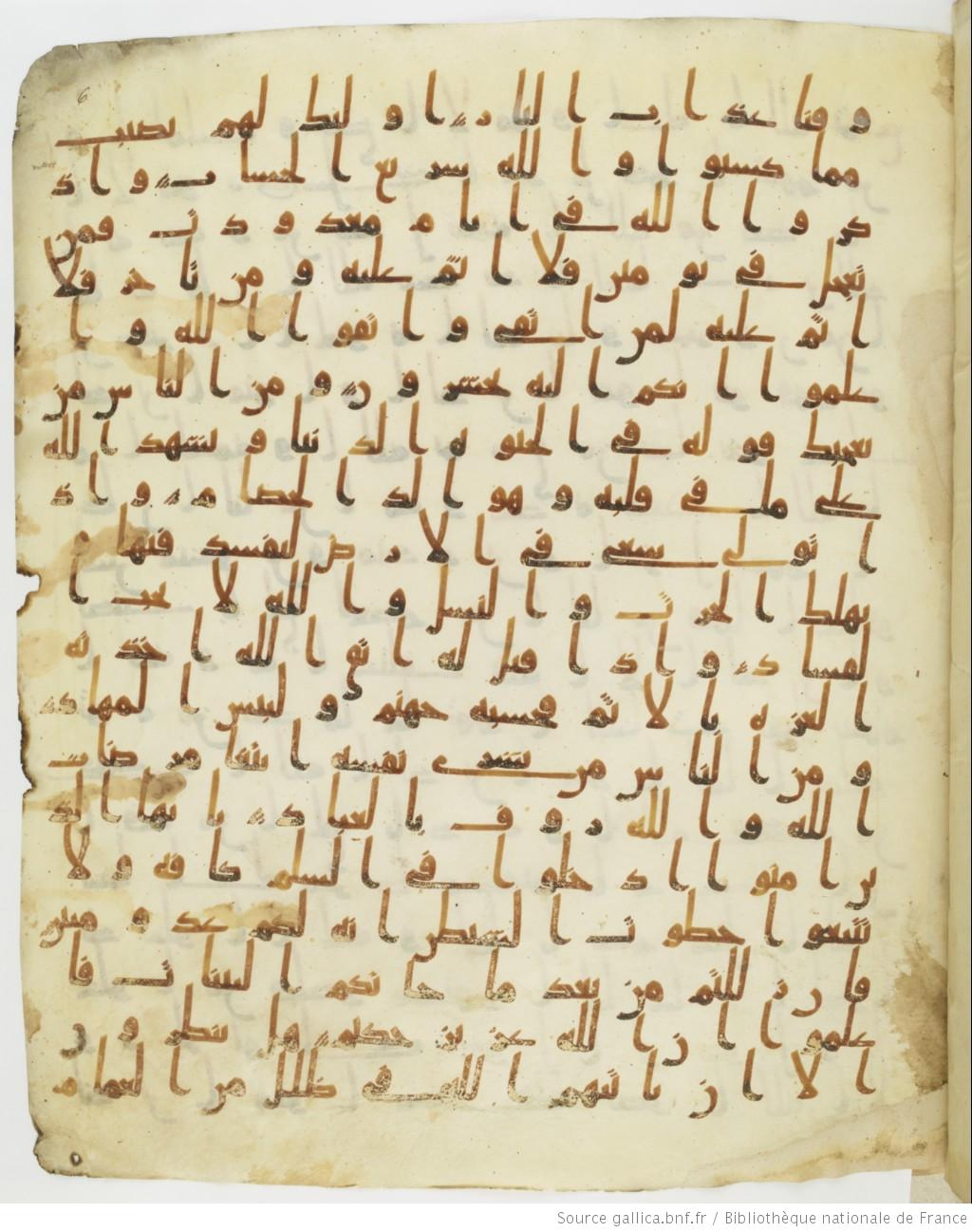 Staatsbibliothek zu Berlin, Ms. or. fol. 4313 (Scan 2), in Ḥiǧāzī (close to type II) script, showing Surah 2:201 from Mid to Late 7th Century AD found in Fustat (Old Cairo), Egypt, currently housed at Staatsbibliothek zu Berlin, Berlin