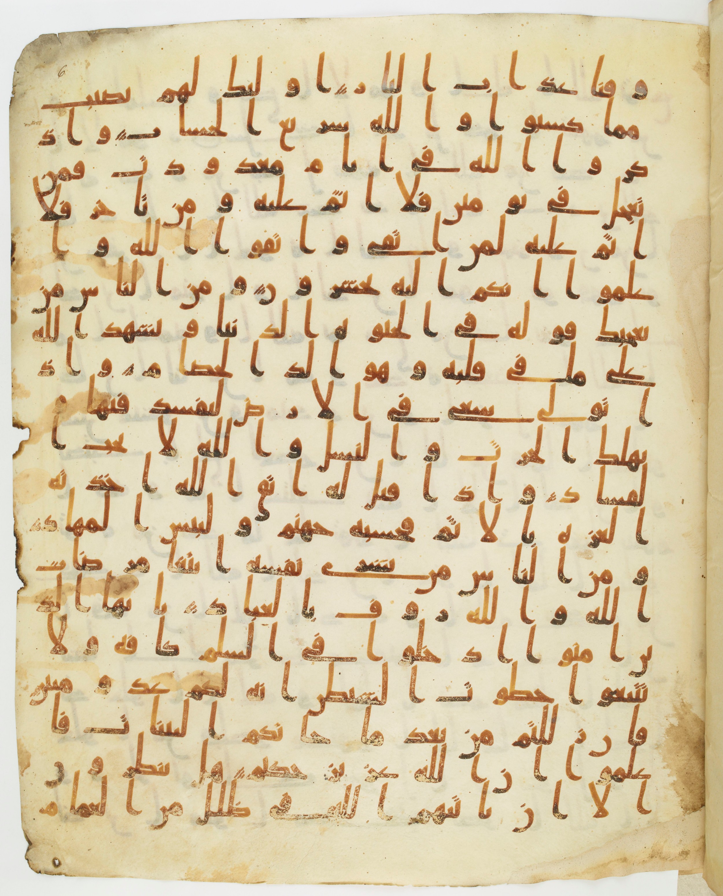 Staatsbibliothek zu Berlin, Ms. or. fol. 4313 (Scan 3), in Ḥiǧāzī (close to type II) script, showing Surah 2:201 from Mid to Late 7th Century AD found in Fustat (Old Cairo), Egypt, currently housed at Staatsbibliothek zu Berlin, Berlin