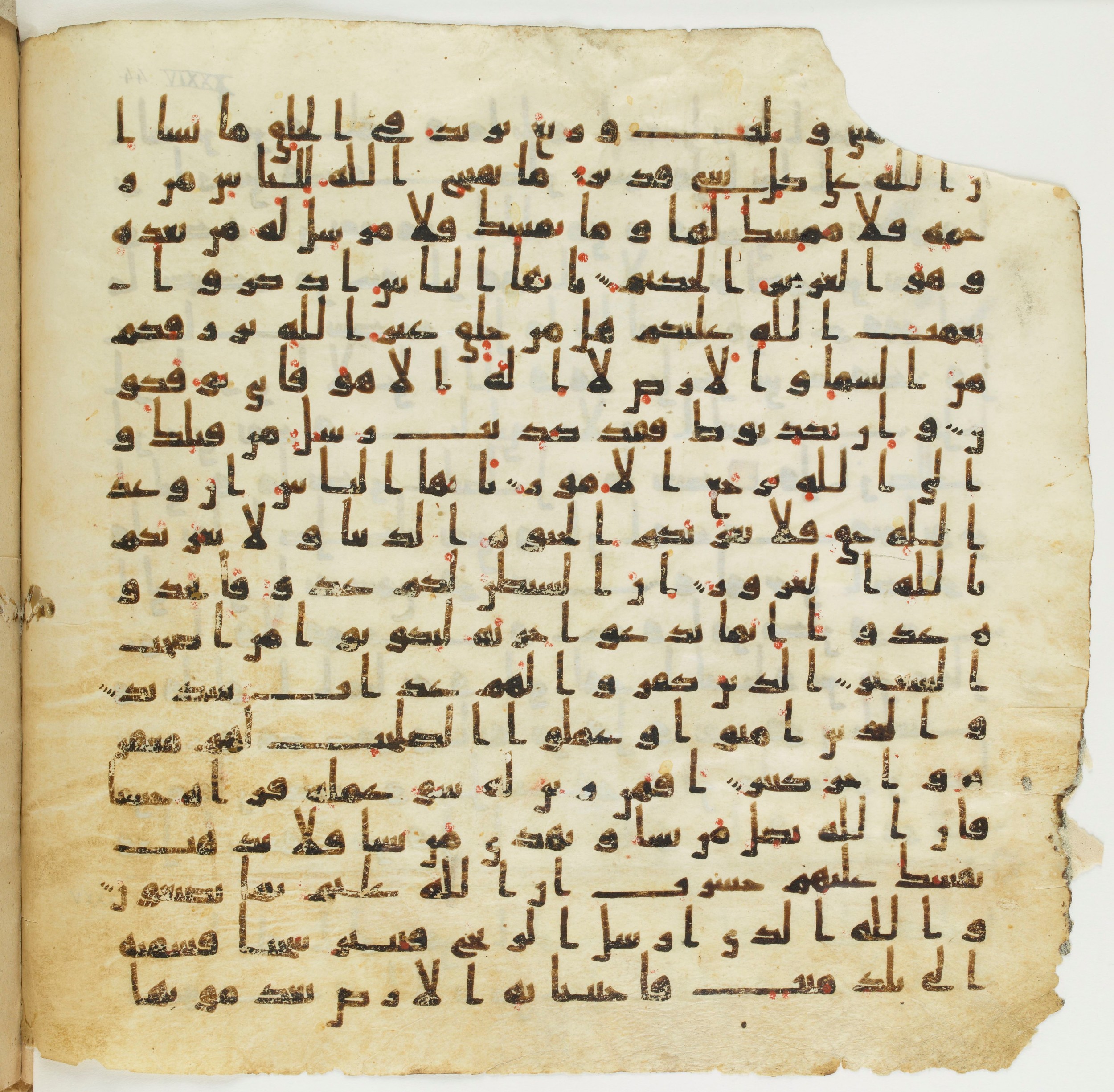 Staatsbibliothek zu Berlin, Ms. or. fol. 4313 (Scan 4), in Ḥiǧāzī (close to type II) script, showing Surah 35:4 from Mid to Late 7th Century AD found in Fustat (Old Cairo), Egypt, currently housed at Staatsbibliothek zu Berlin, Berlin