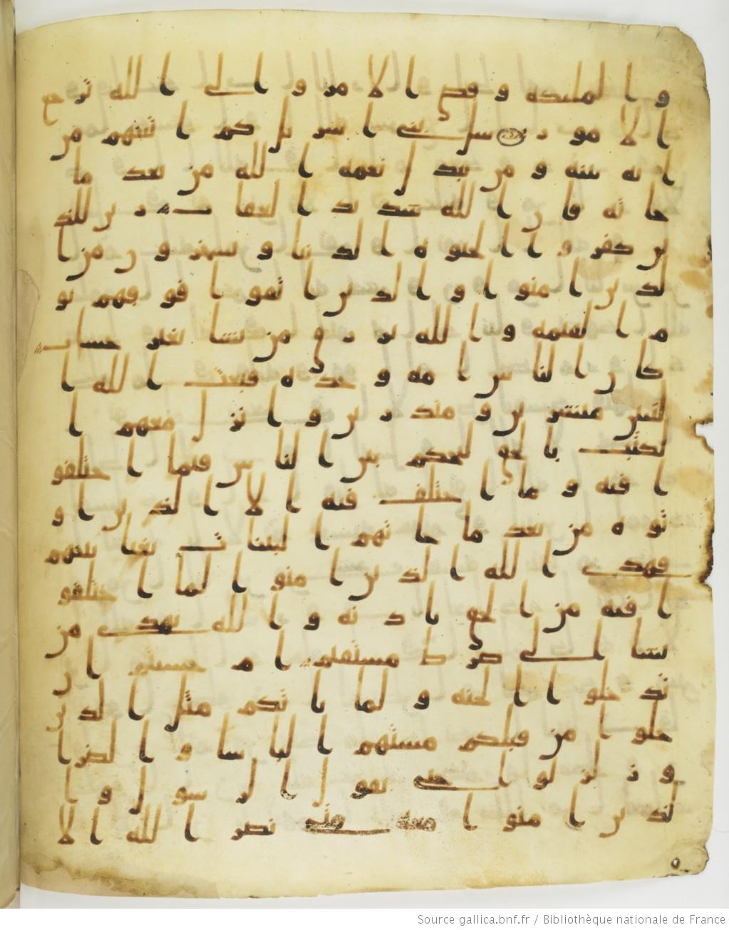 Staatsbibliothek zu Berlin, Ms. or. fol. 4313 (Scan 4), in Ḥiǧāzī (close to type II) script, showing Surah 2:210 from Mid to Late 7th Century AD found in Fustat (Old Cairo), Egypt, currently housed at Staatsbibliothek zu Berlin, Berlin