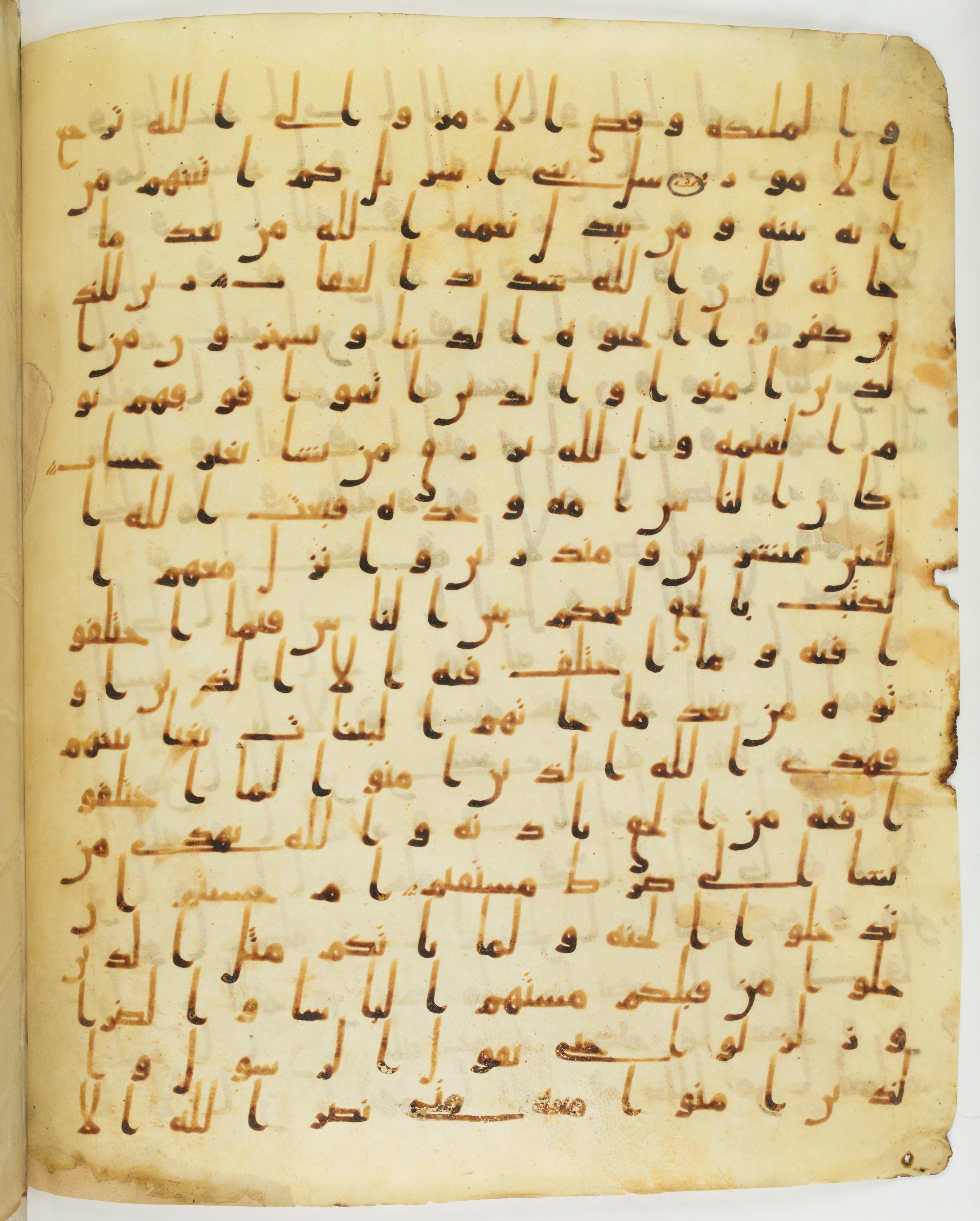 Staatsbibliothek zu Berlin, Ms. or. fol. 4313 (Scan 5), in Ḥiǧāzī (close to type II) script, showing Surah 2:210 from Mid to Late 7th Century AD found in Fustat (Old Cairo), Egypt, currently housed at Staatsbibliothek zu Berlin, Berlin