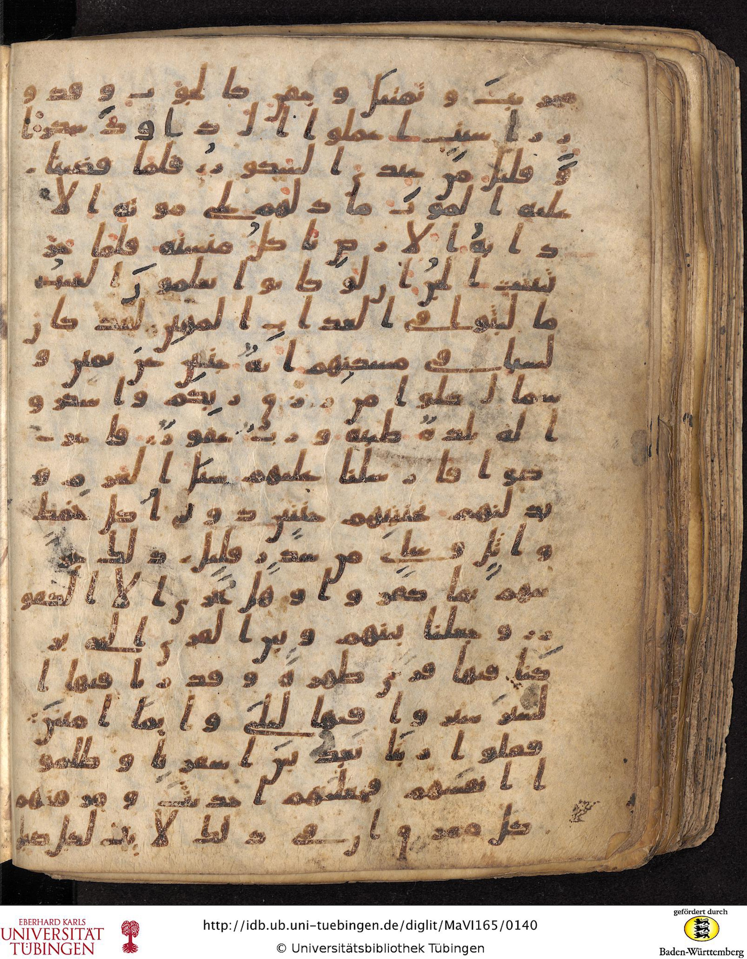 Staatsbibliothek zu Berlin, Ms. or. fol. 4313 (Scan 3), in Ḥiǧāzī (close to type II) script, showing Surah 34:16 from Mid to Late 7th Century AD found in Fustat (Old Cairo), Egypt, currently housed at Staatsbibliothek zu Berlin, Berlin