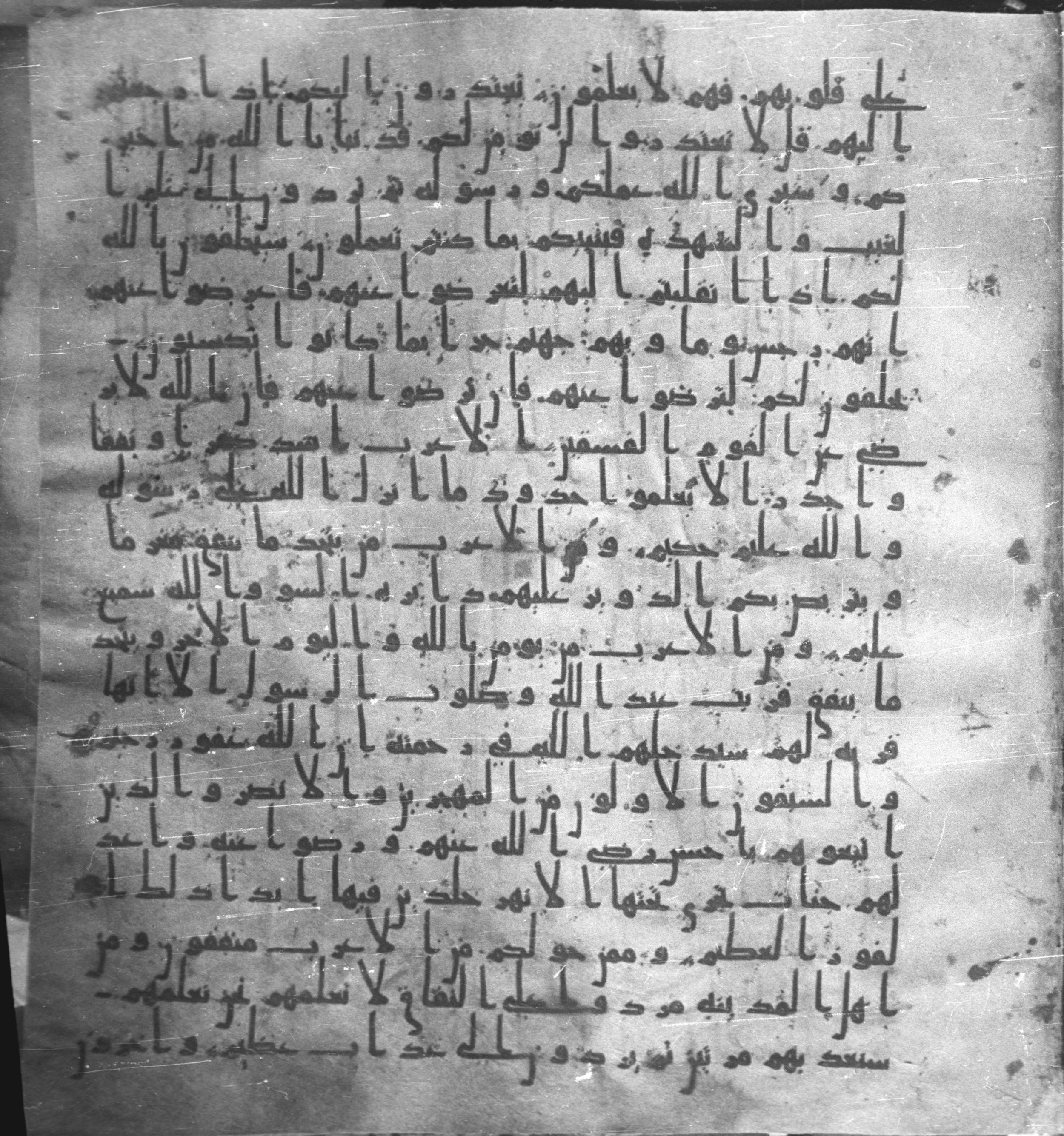 Staatsbibliothek zu Berlin, Ms. or. fol. 4313 (Scan 2), in Ḥiǧāzī (close to type II) script, showing Surah 9:97 from Mid to Late 7th Century AD found in Fustat (Old Cairo), Egypt, currently housed at Staatsbibliothek zu Berlin, Berlin