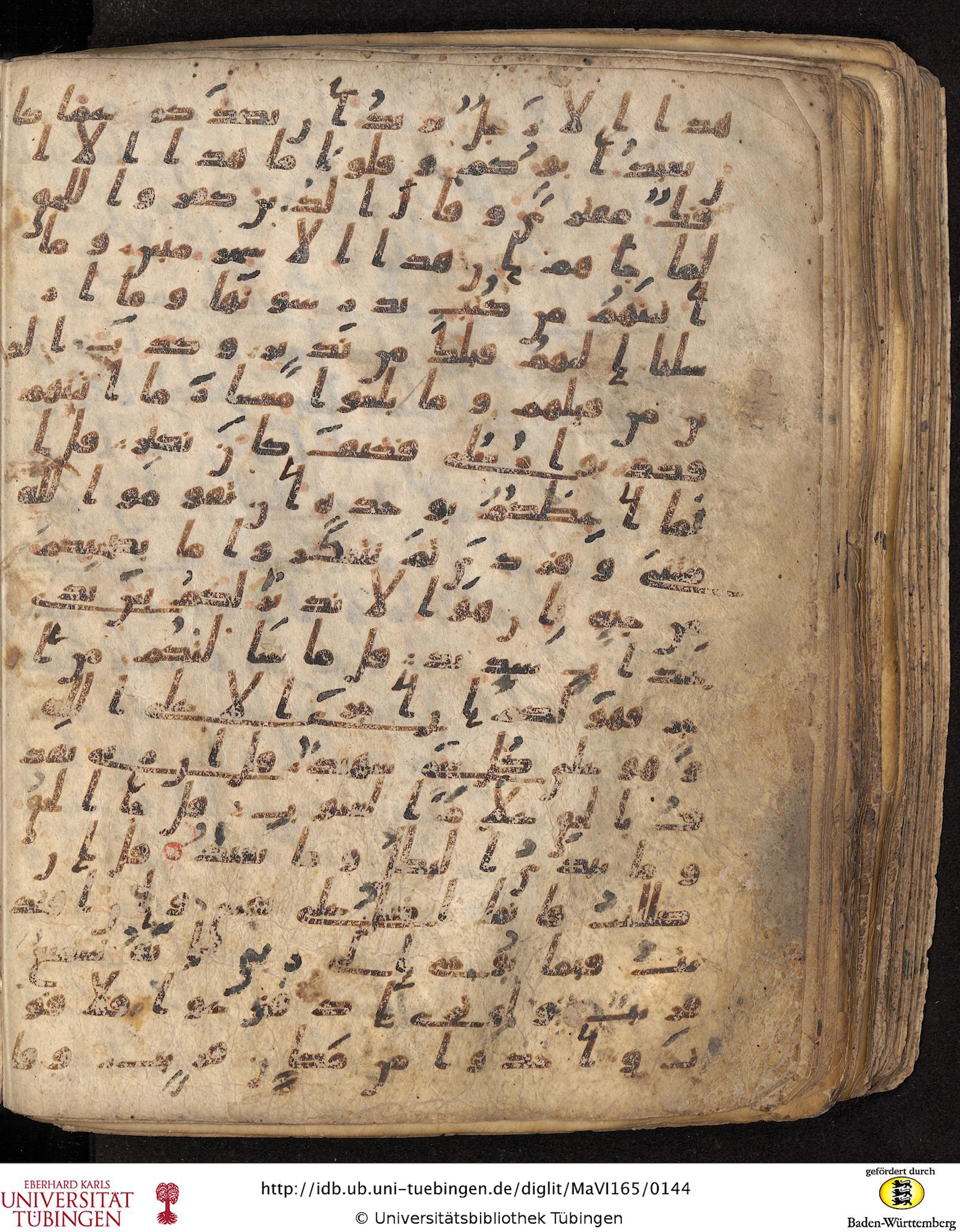 Staatsbibliothek zu Berlin, Ms. or. fol. 4313 (Scan 5), in Ḥiǧāzī (close to type II) script, showing Surah 34:46 from Mid to Late 7th Century AD found in Fustat (Old Cairo), Egypt, currently housed at Staatsbibliothek zu Berlin, Berlin