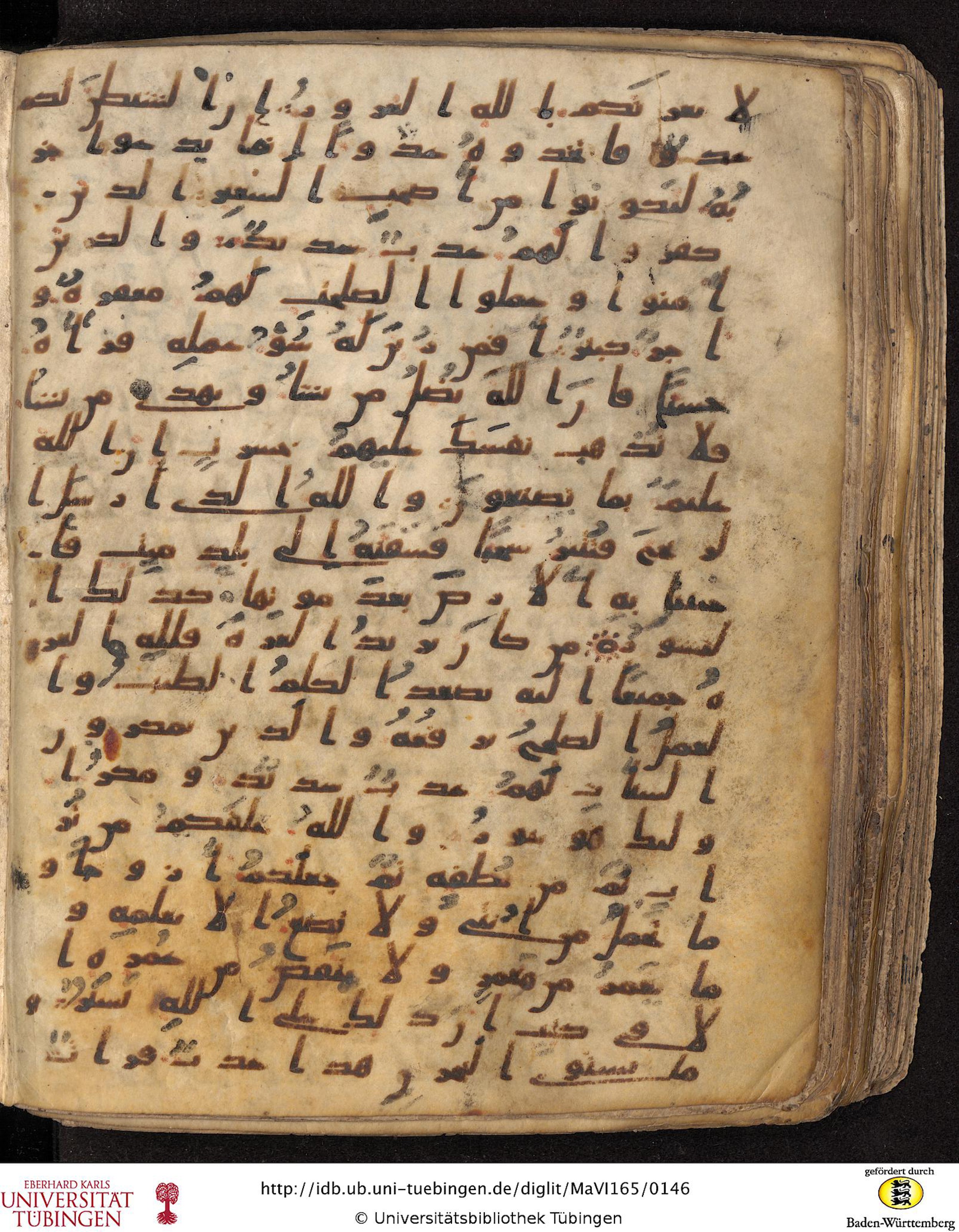 Staatsbibliothek zu Berlin, Ms. or. fol. 4313 (Scan 5), in Ḥiǧāzī (close to type II) script, showing Surah 35:7 from Mid to Late 7th Century AD found in Fustat (Old Cairo), Egypt, currently housed at Staatsbibliothek zu Berlin, Berlin