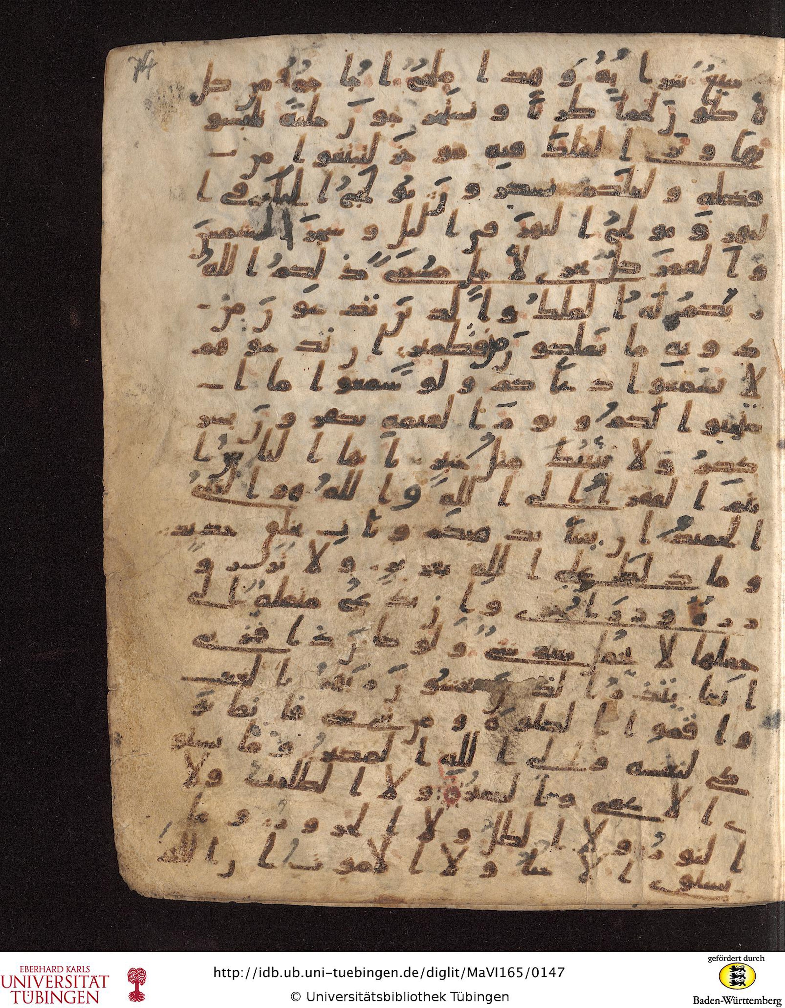 Staatsbibliothek zu Berlin, Ms. or. fol. 4313 (Scan 3), in Ḥiǧāzī (close to type II) script, showing Surah 35:21 from Mid to Late 7th Century AD found in Fustat (Old Cairo), Egypt, currently housed at Staatsbibliothek zu Berlin, Berlin