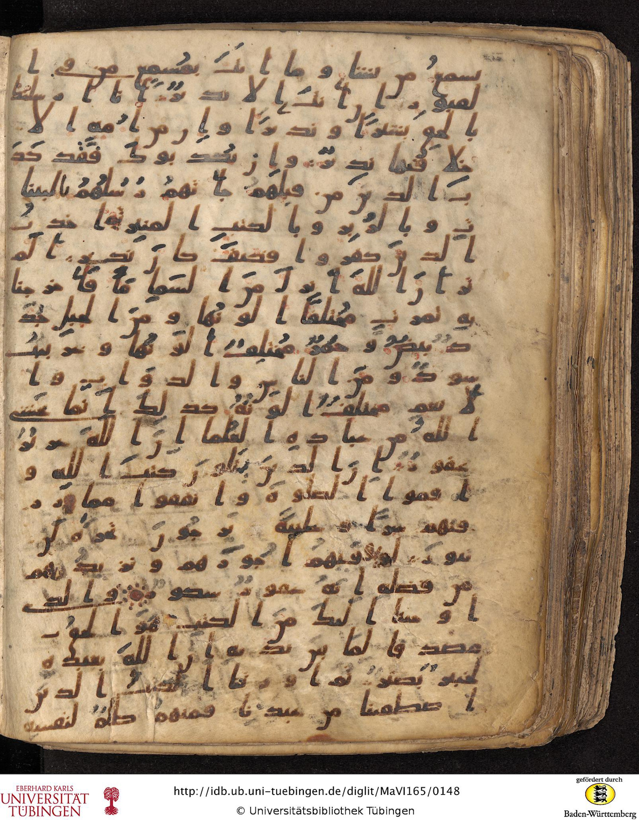 Staatsbibliothek zu Berlin, Ms. or. fol. 4313 (Scan 5), in Ḥiǧāzī (close to type II) script, showing Surah 35:32 from Mid to Late 7th Century AD found in Fustat (Old Cairo), Egypt, currently housed at Staatsbibliothek zu Berlin, Berlin