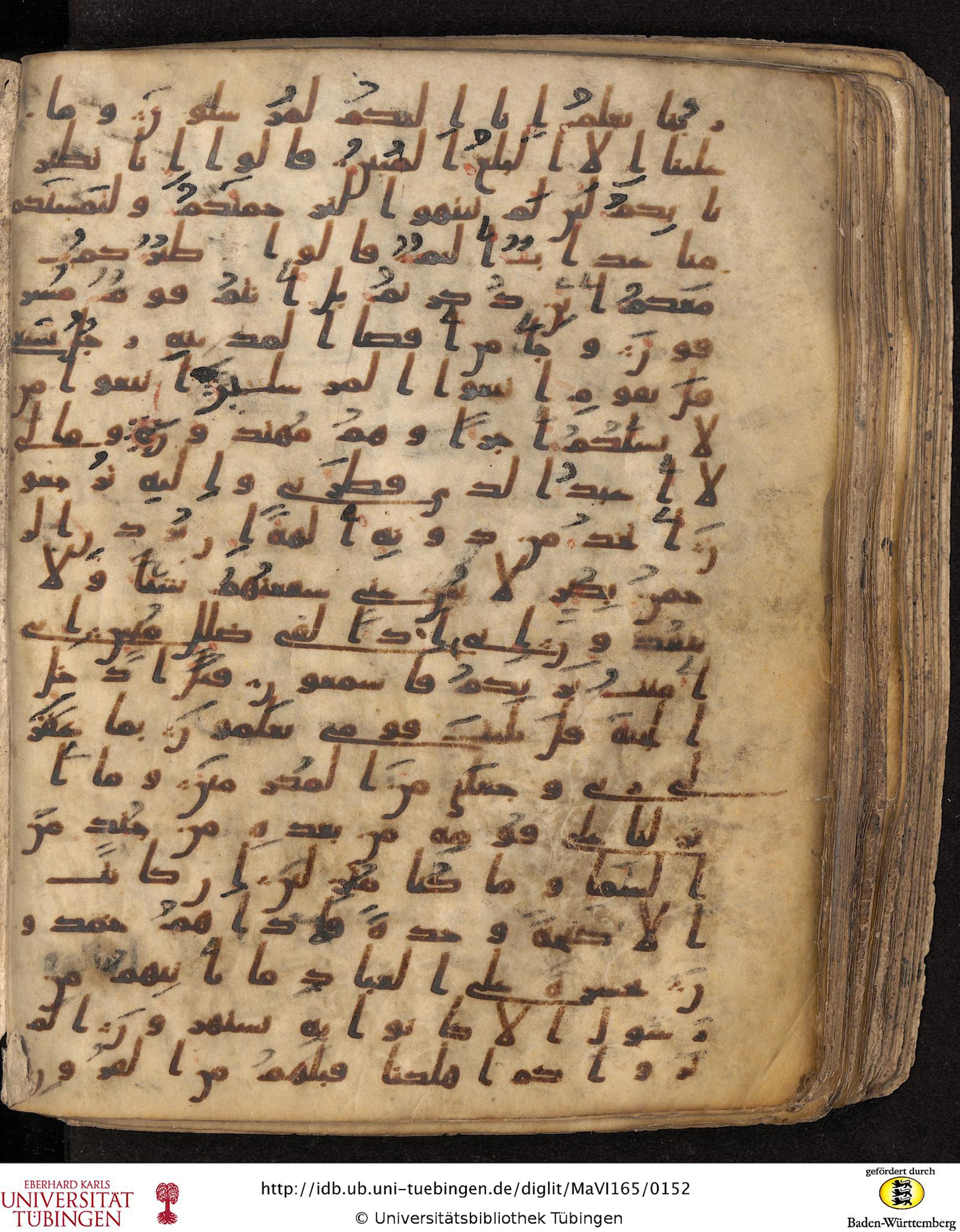 Staatsbibliothek zu Berlin, Ms. or. fol. 4313 (Scan 4), in Ḥiǧāzī (close to type II) script, showing Surah 36:22 from Mid to Late 7th Century AD found in Fustat (Old Cairo), Egypt, currently housed at Staatsbibliothek zu Berlin, Berlin