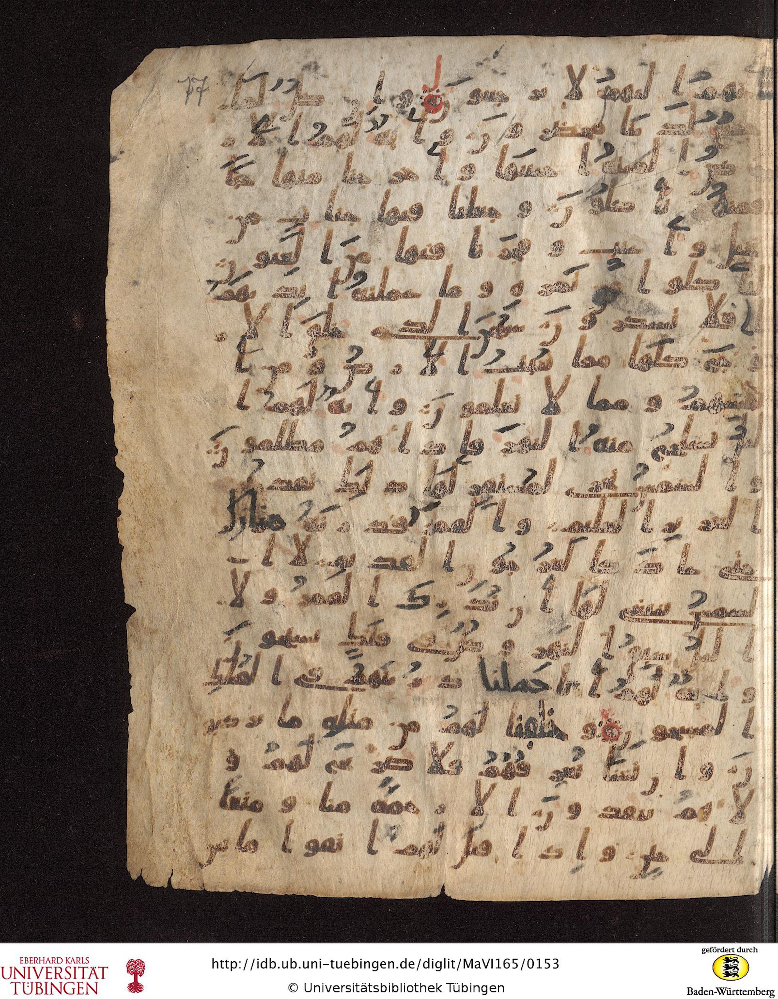 Staatsbibliothek zu Berlin, Ms. or. fol. 4313 (Scan 4), in Ḥiǧāzī (close to type II) script, showing Surah 36:32 from Mid to Late 7th Century AD found in Fustat (Old Cairo), Egypt, currently housed at Staatsbibliothek zu Berlin, Berlin
