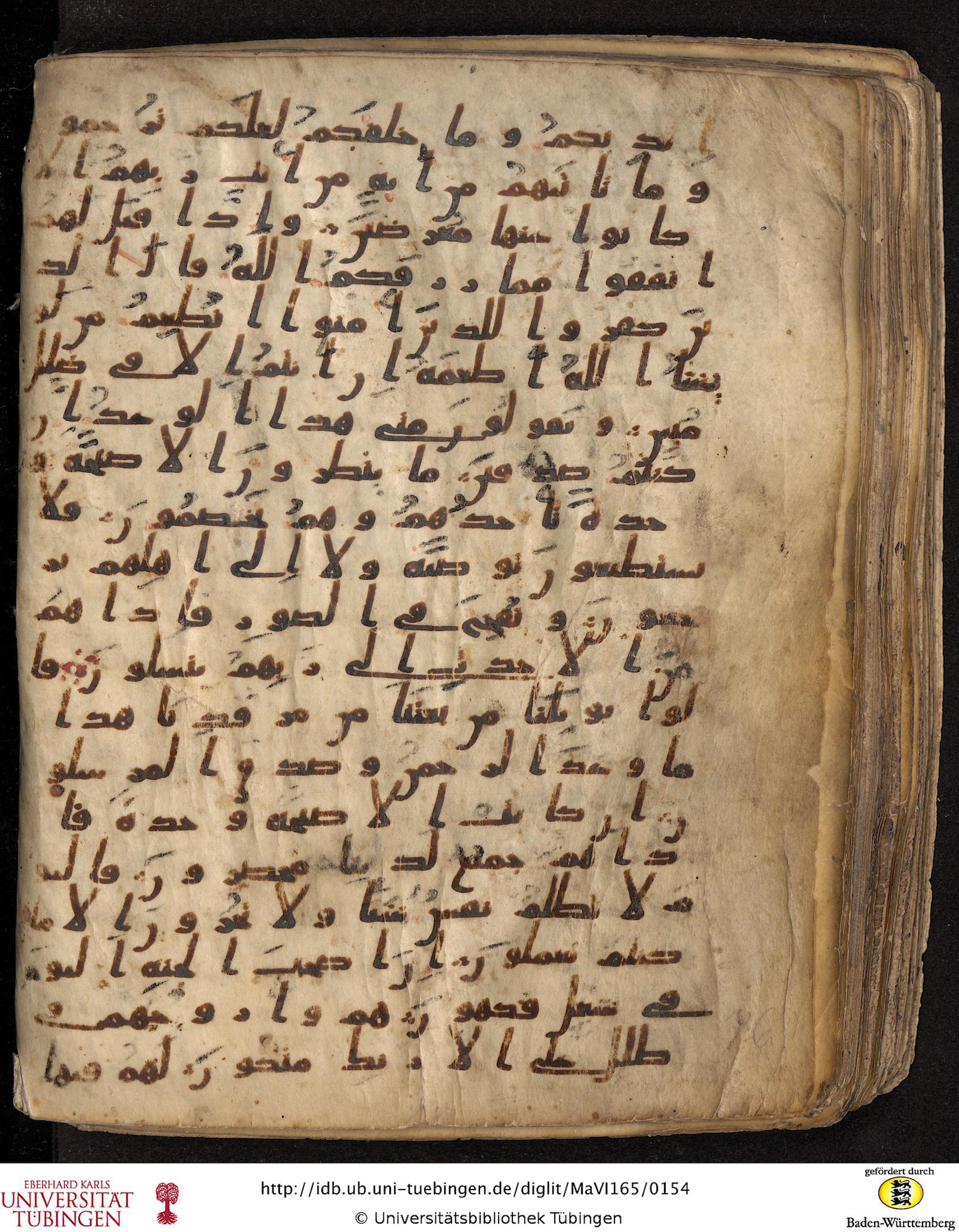 Staatsbibliothek zu Berlin, Ms. or. fol. 4313 (Scan 3), in Ḥiǧāzī (close to type II) script, showing Surah 36:49 from Mid to Late 7th Century AD found in Fustat (Old Cairo), Egypt, currently housed at Staatsbibliothek zu Berlin, Berlin