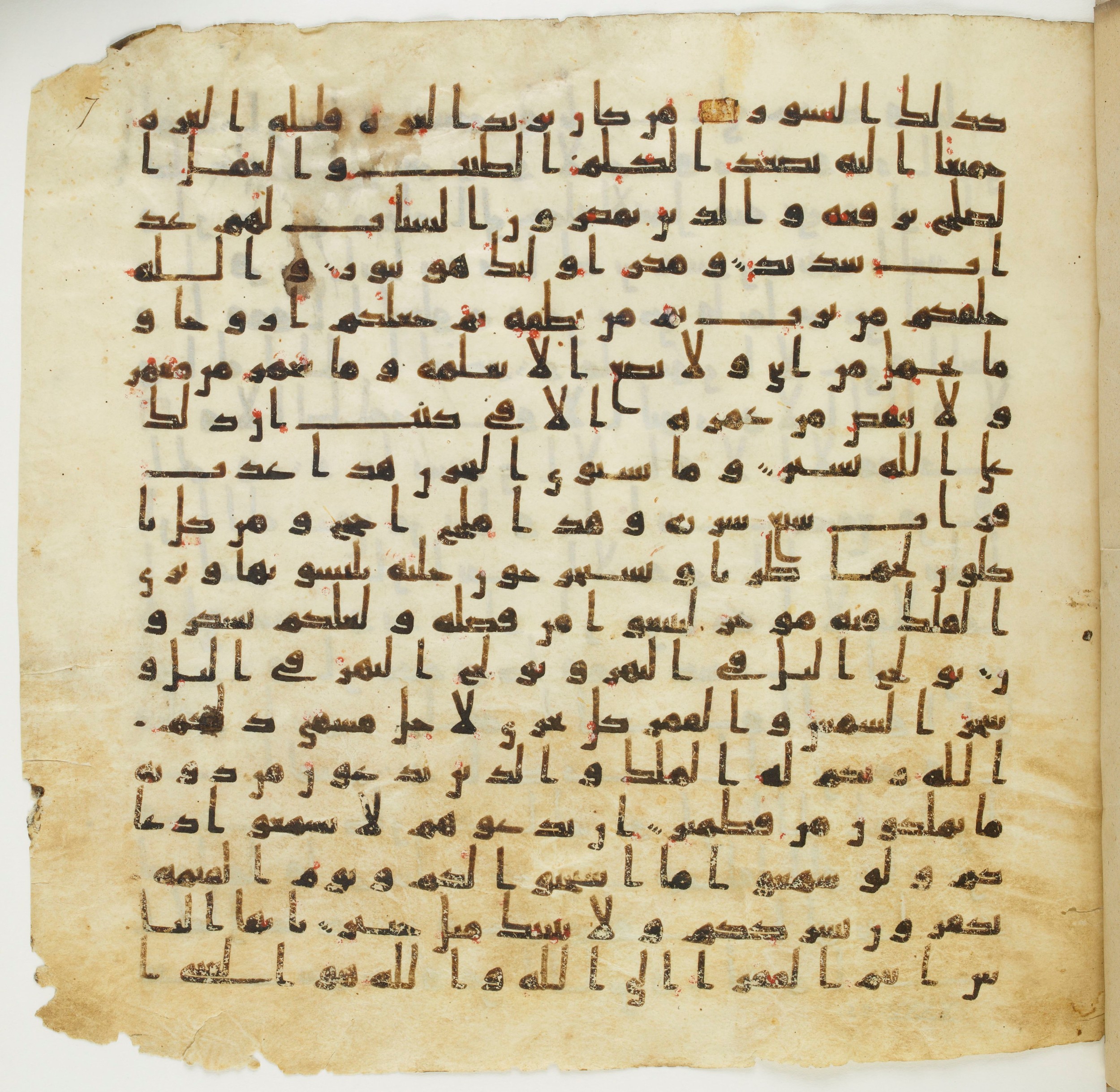 Staatsbibliothek zu Berlin, Ms. or. fol. 4313 (Scan 8), in Ḥiǧāzī (close to type II) script, showing Surah 35:9 from Mid to Late 7th Century AD found in Fustat (Old Cairo), Egypt, currently housed at Staatsbibliothek zu Berlin, Berlin