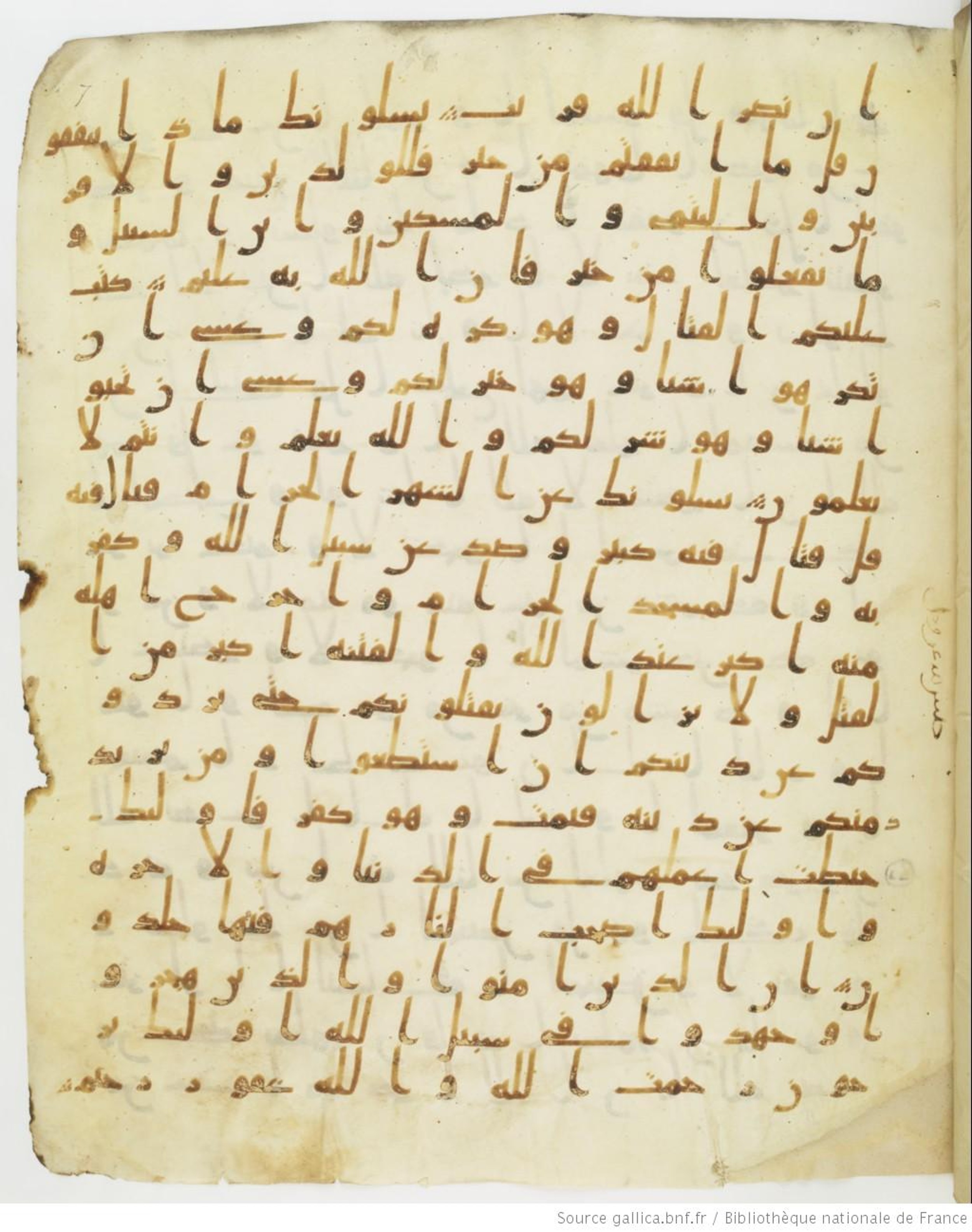 Staatsbibliothek zu Berlin, Ms. or. fol. 4313 (Scan 5), in Ḥiǧāzī (close to type II) script, showing Surah 2:217 from Mid to Late 7th Century AD found in Fustat (Old Cairo), Egypt, currently housed at Staatsbibliothek zu Berlin, Berlin
