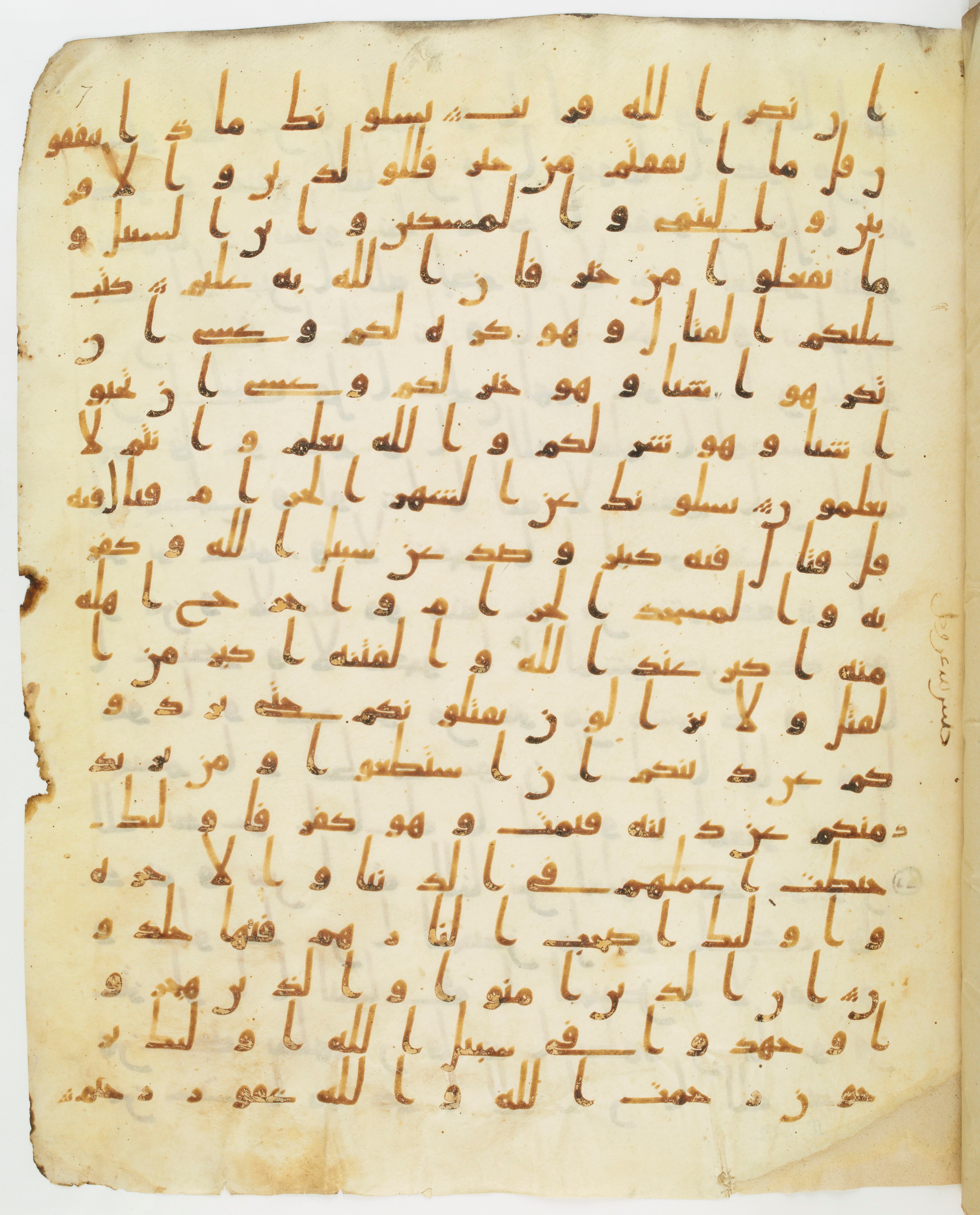 Staatsbibliothek zu Berlin, Ms. or. fol. 4313 (Scan 6), in Ḥiǧāzī (close to type II) script, showing Surah 2:217 from Mid to Late 7th Century AD found in Fustat (Old Cairo), Egypt, currently housed at Staatsbibliothek zu Berlin, Berlin