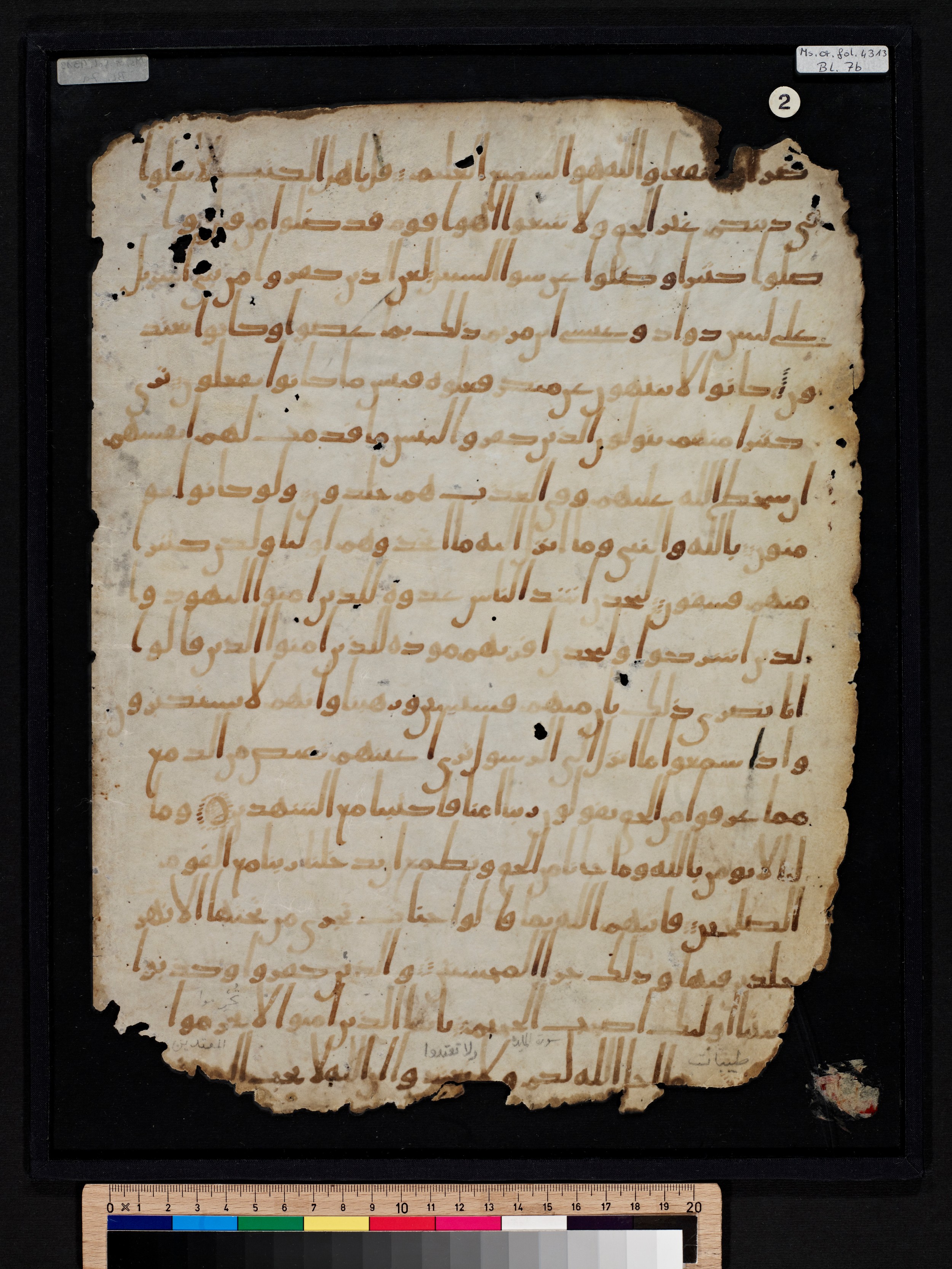 Staatsbibliothek zu Berlin, Ms. or. fol. 4313 (Scan 5), in Ḥiǧāzī (close to type II) script, showing Surah 5:76 from Mid to Late 7th Century AD found in Fustat (Old Cairo), Egypt, currently housed at Staatsbibliothek zu Berlin, Berlin