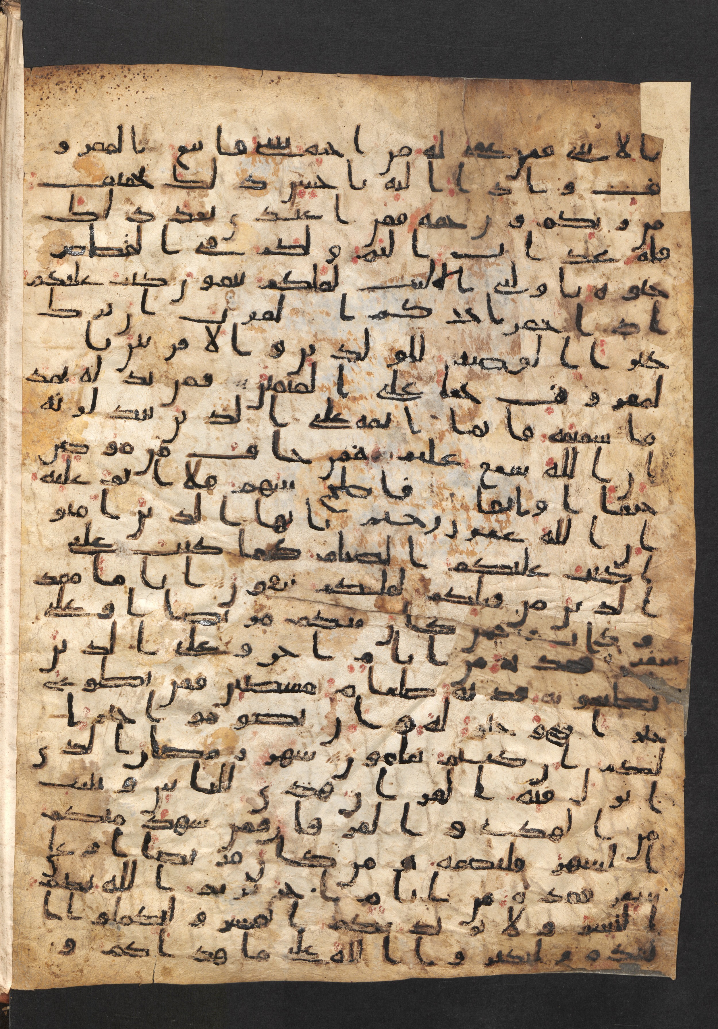 Staatsbibliothek zu Berlin, Ms. or. fol. 4313 (Scan 5), in Ḥiǧāzī (close to type II) script, showing Surah 2:183 from Mid to Late 7th Century AD found in Fustat (Old Cairo), Egypt, currently housed at Staatsbibliothek zu Berlin, Berlin
