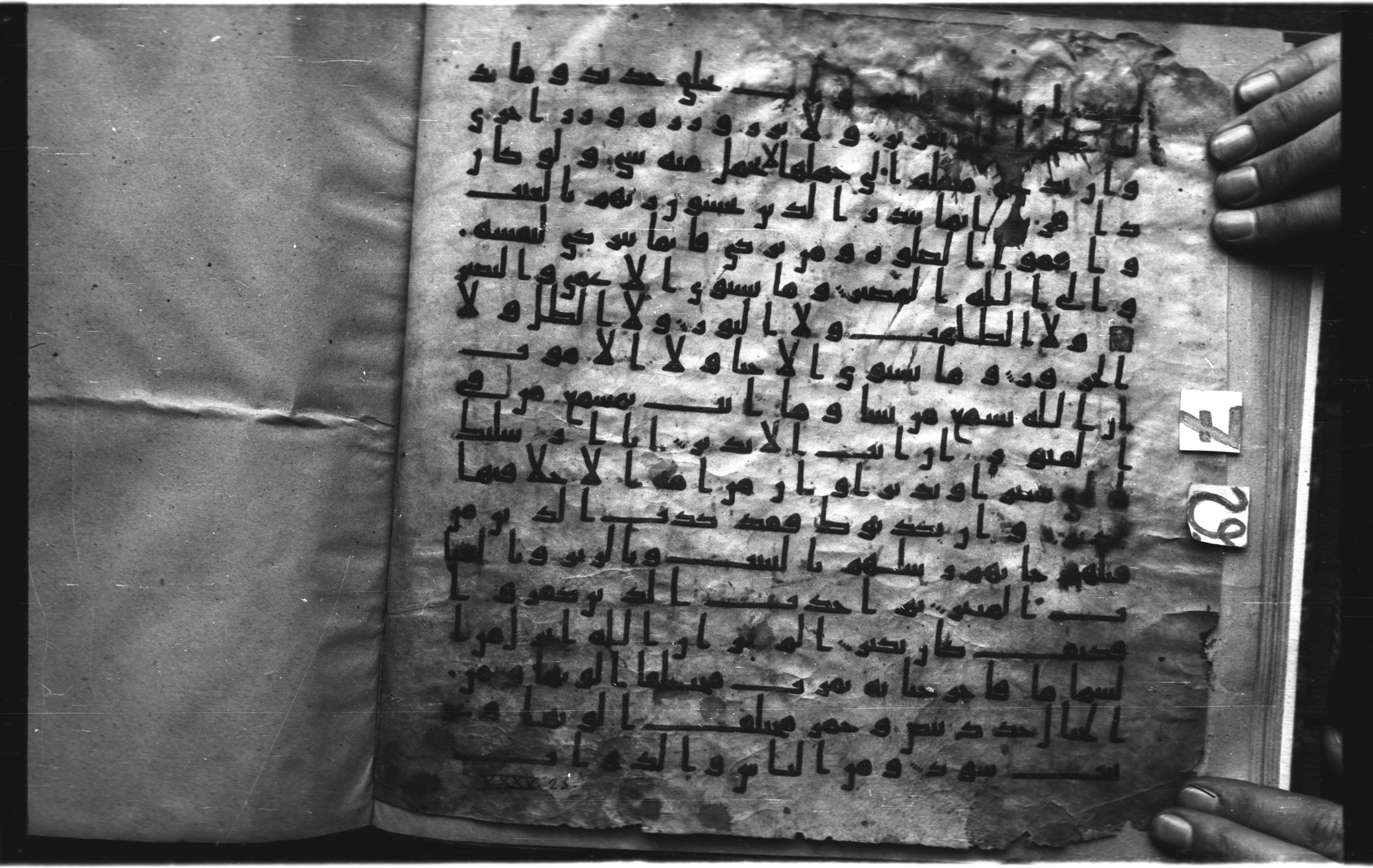 Staatsbibliothek zu Berlin, Ms. or. fol. 4313 (Scan 4), in Ḥiǧāzī (close to type II) script, showing Surah 35:21 from Mid to Late 7th Century AD found in Fustat (Old Cairo), Egypt, currently housed at Staatsbibliothek zu Berlin, Berlin