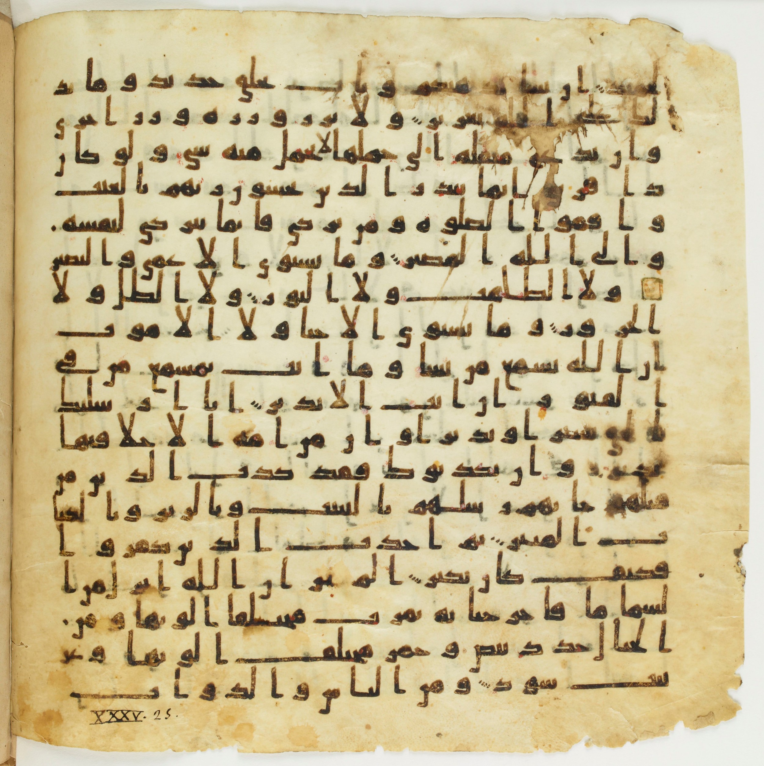 Staatsbibliothek zu Berlin, Ms. or. fol. 4313 (Scan 5), in Ḥiǧāzī (close to type II) script, showing Surah 35:21 from Mid to Late 7th Century AD found in Fustat (Old Cairo), Egypt, currently housed at Staatsbibliothek zu Berlin, Berlin