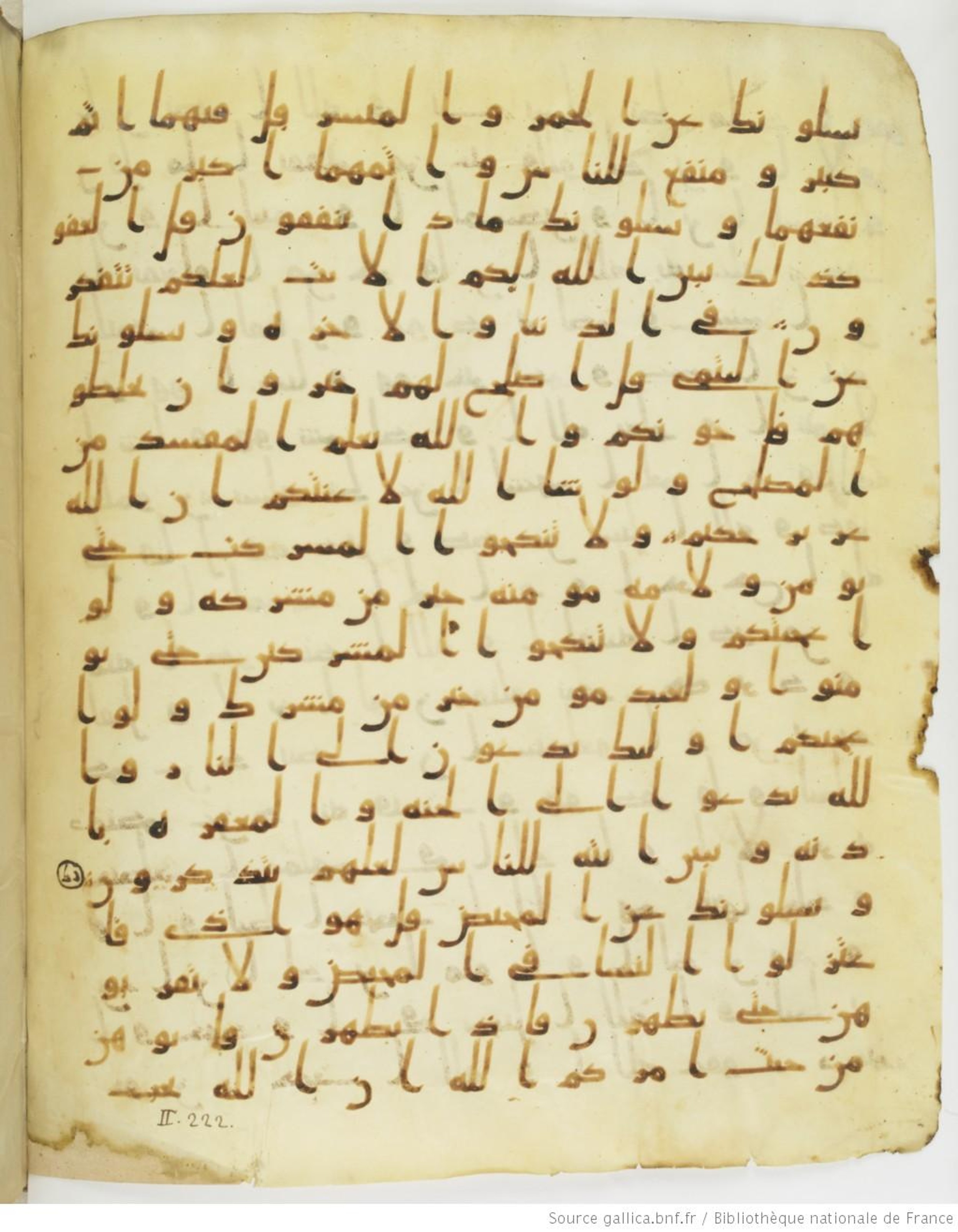 Staatsbibliothek zu Berlin, Ms. or. fol. 4313 (Scan 3), in Ḥiǧāzī (close to type II) script, showing Surah 2:220 from Mid to Late 7th Century AD found in Fustat (Old Cairo), Egypt, currently housed at Staatsbibliothek zu Berlin, Berlin