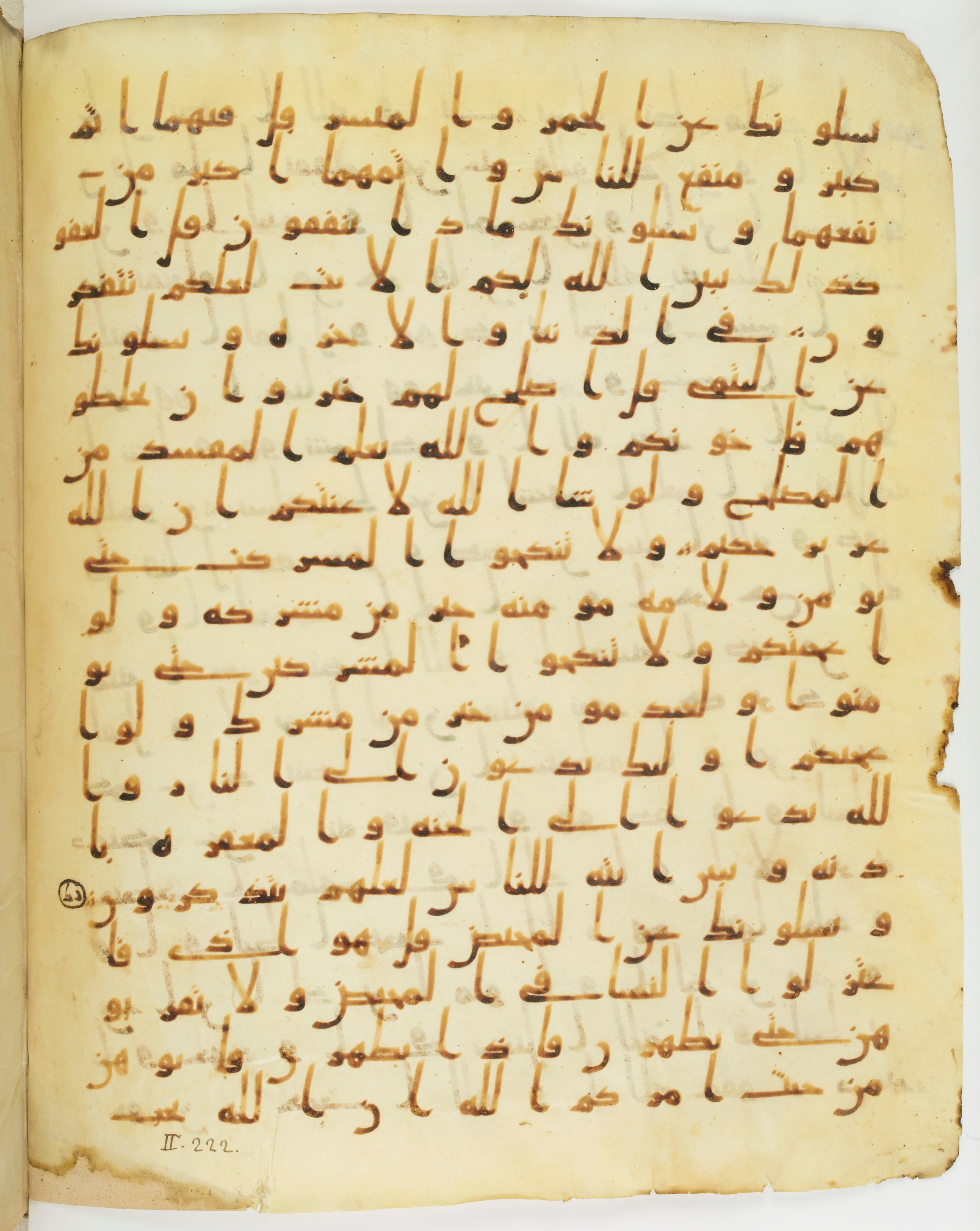 Staatsbibliothek zu Berlin, Ms. or. fol. 4313 (Scan 4), in Ḥiǧāzī (close to type II) script, showing Surah 2:220 from Mid to Late 7th Century AD found in Fustat (Old Cairo), Egypt, currently housed at Staatsbibliothek zu Berlin, Berlin