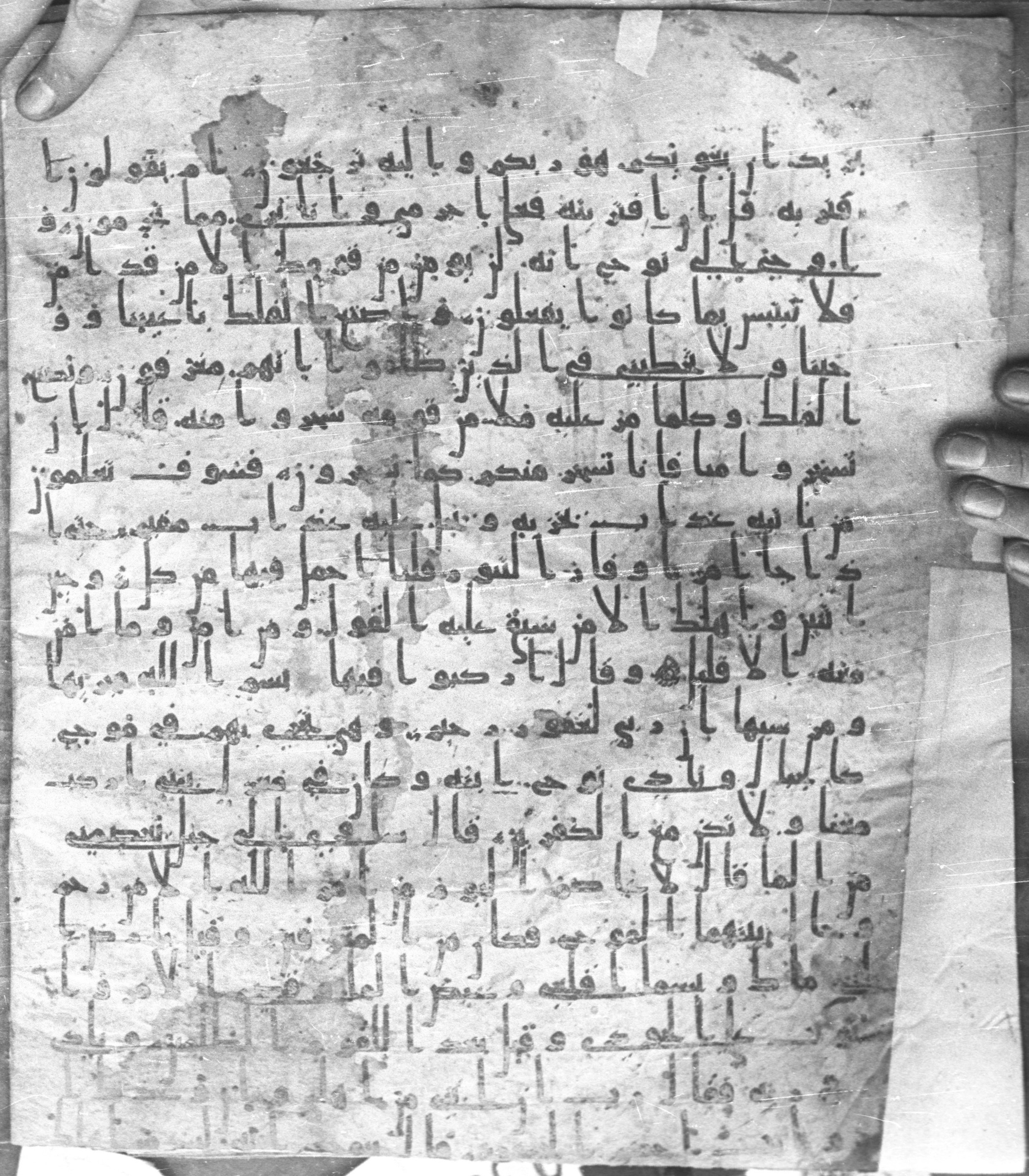 Staatsbibliothek zu Berlin, Ms. or. fol. 4313 (Scan 1), in Ḥiǧāzī (close to type II) script, showing Surah 11:39 from Mid to Late 7th Century AD found in Fustat (Old Cairo), Egypt, currently housed at Staatsbibliothek zu Berlin, Berlin