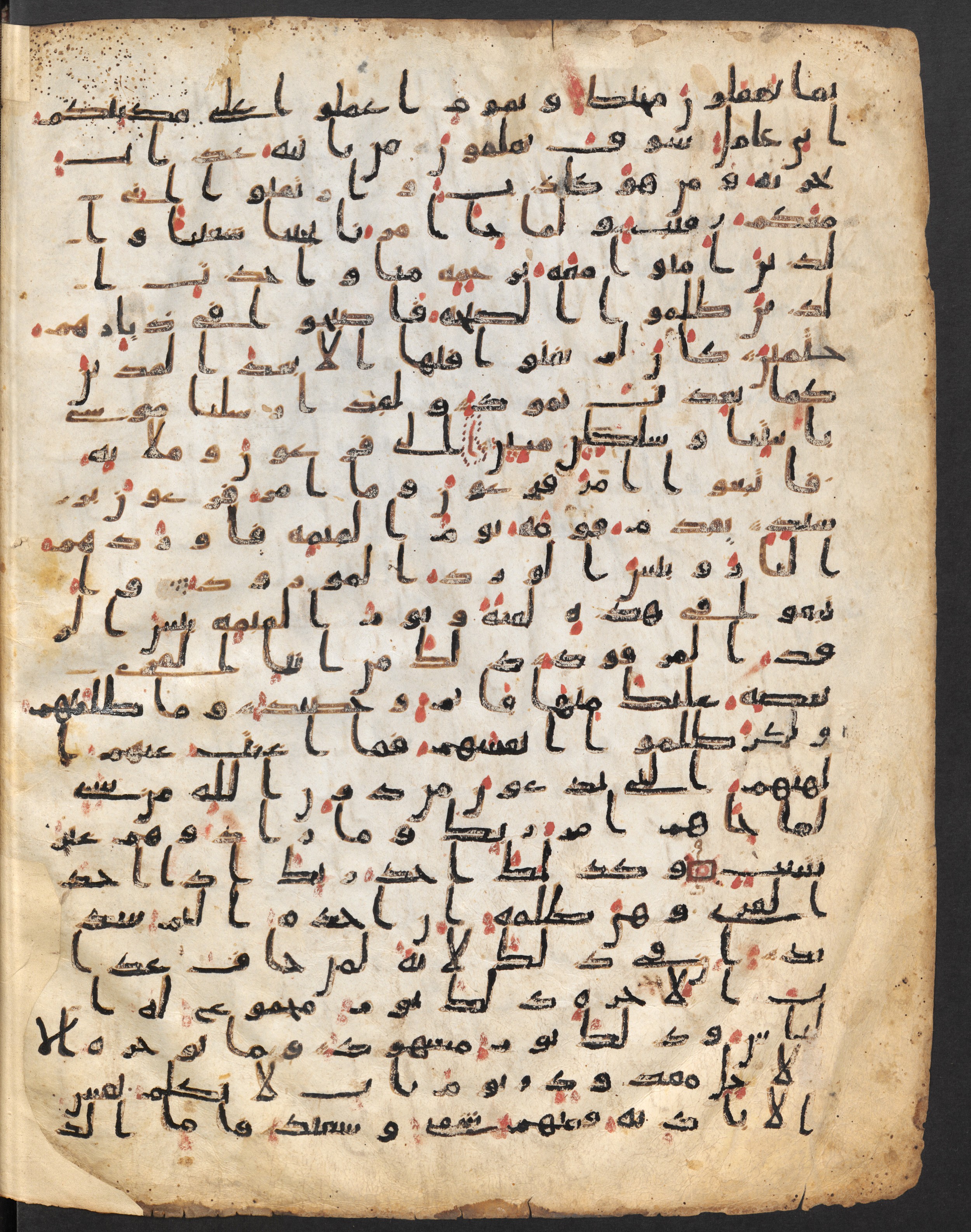 Staatsbibliothek zu Berlin, Ms. or. fol. 4313 (Scan 4), in Ḥiǧāzī (close to type II) script, showing Surah 11:92 from Mid to Late 7th Century AD found in Fustat (Old Cairo), Egypt, currently housed at Staatsbibliothek zu Berlin, Berlin
