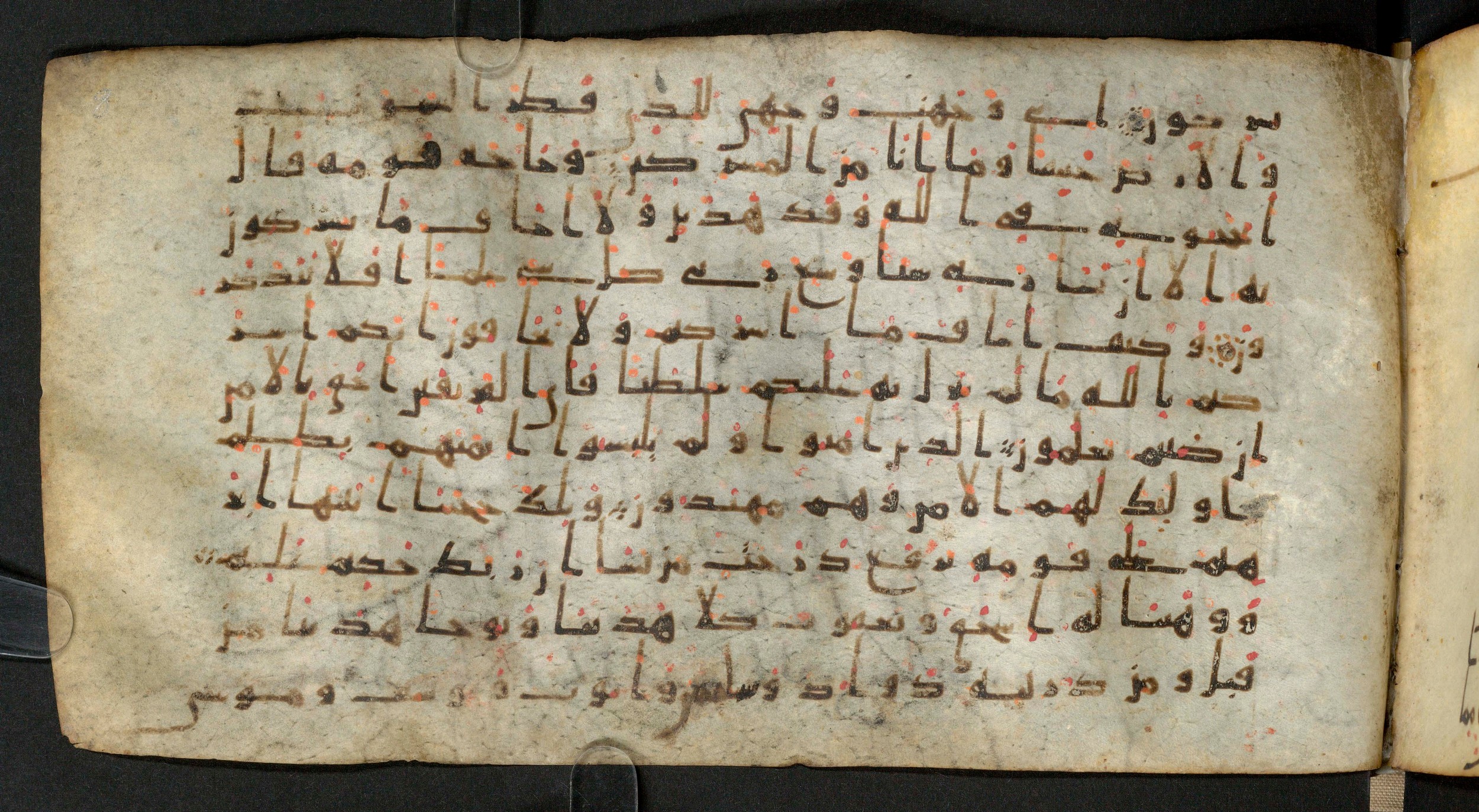 Staatsbibliothek zu Berlin, Ms. or. fol. 4313 (Scan 4), in Ḥiǧāzī (close to type II) script, showing Surah 6:83 from Mid to Late 7th Century AD found in Fustat (Old Cairo), Egypt, currently housed at Staatsbibliothek zu Berlin, Berlin