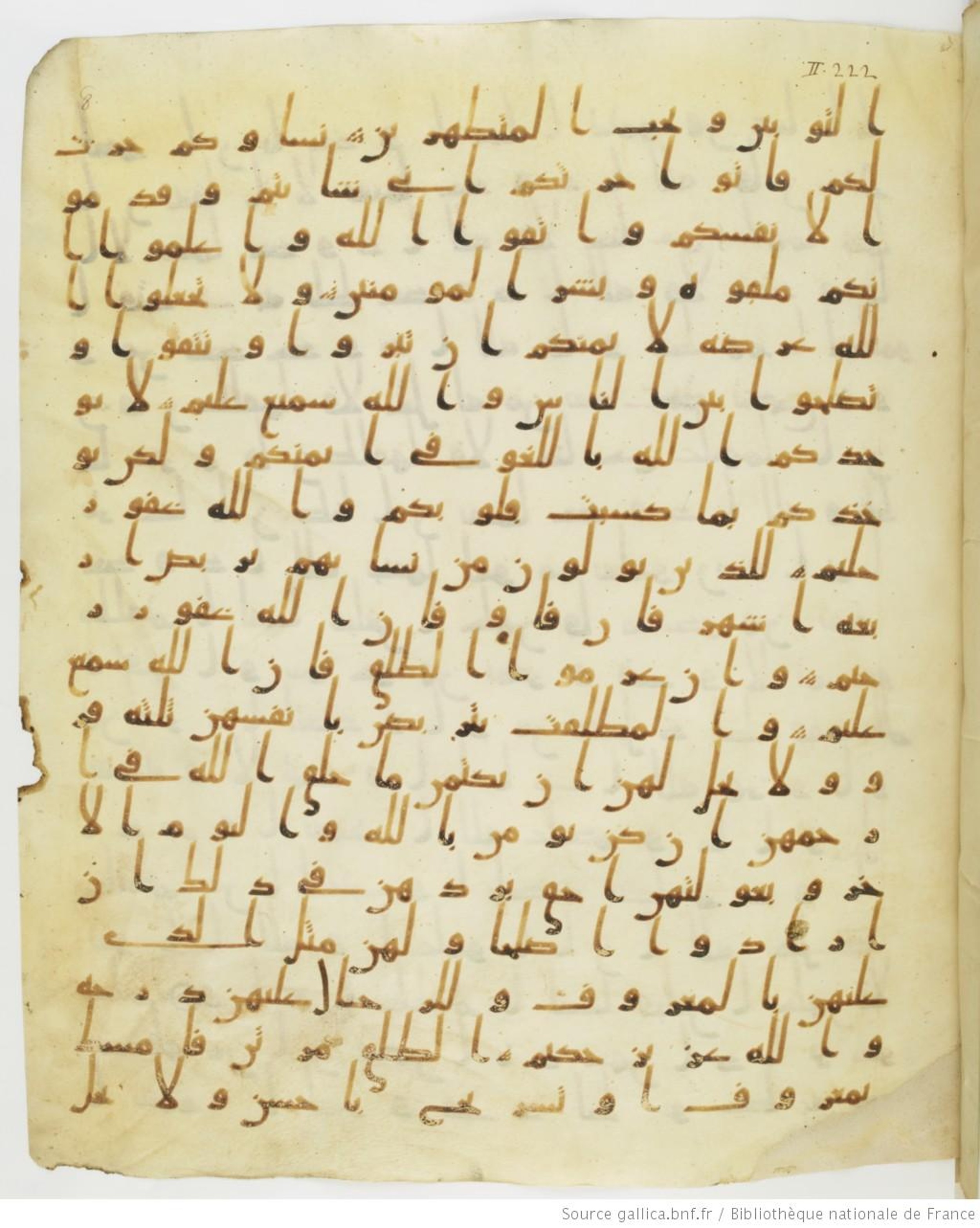 Staatsbibliothek zu Berlin, Ms. or. fol. 4313 (Scan 4), in Ḥiǧāzī (close to type II) script, showing Surah 2:229 from Mid to Late 7th Century AD found in Fustat (Old Cairo), Egypt, currently housed at Staatsbibliothek zu Berlin, Berlin