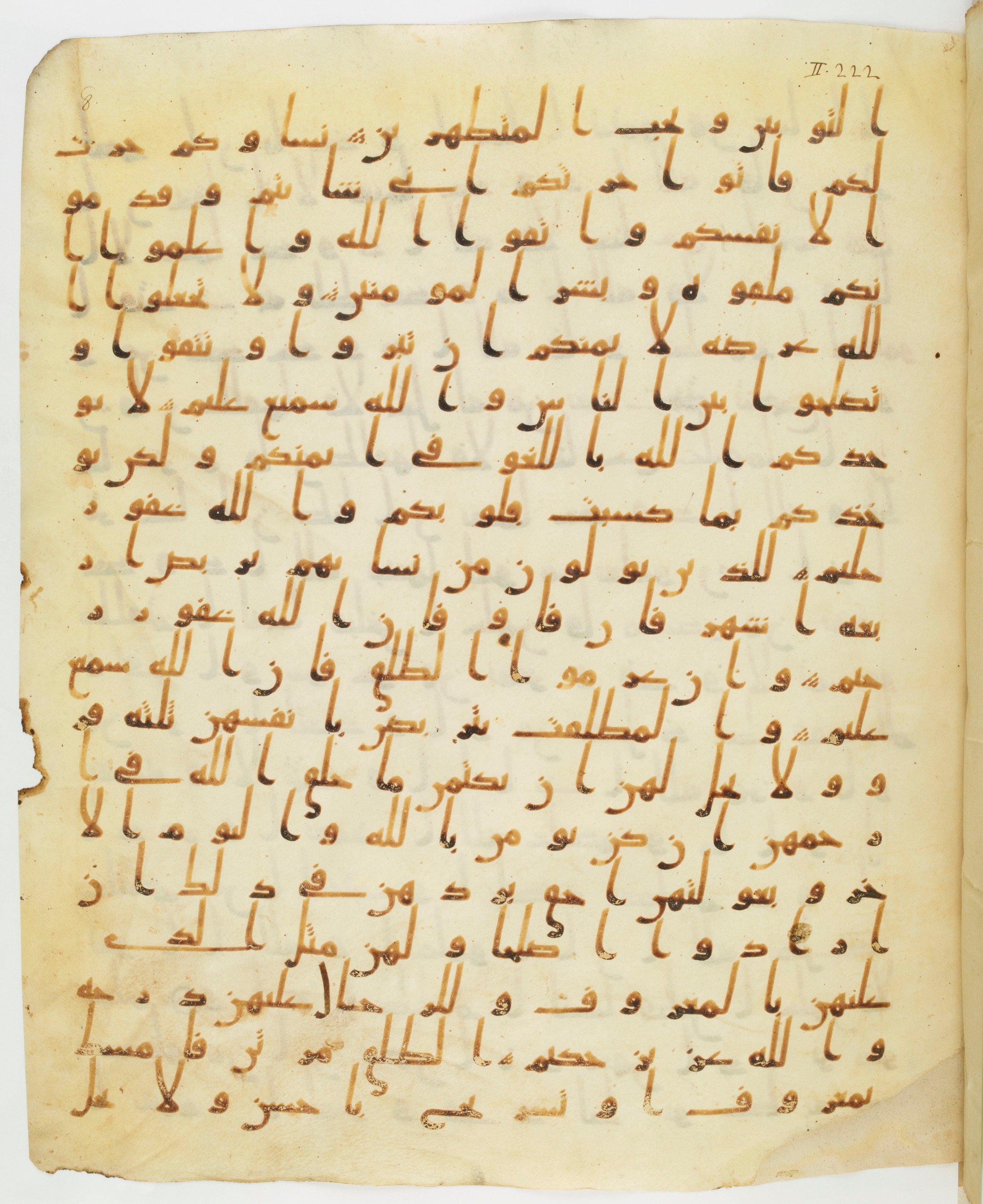 Staatsbibliothek zu Berlin, Ms. or. fol. 4313 (Scan 5), in Ḥiǧāzī (close to type II) script, showing Surah 2:229 from Mid to Late 7th Century AD found in Fustat (Old Cairo), Egypt, currently housed at Staatsbibliothek zu Berlin, Berlin
