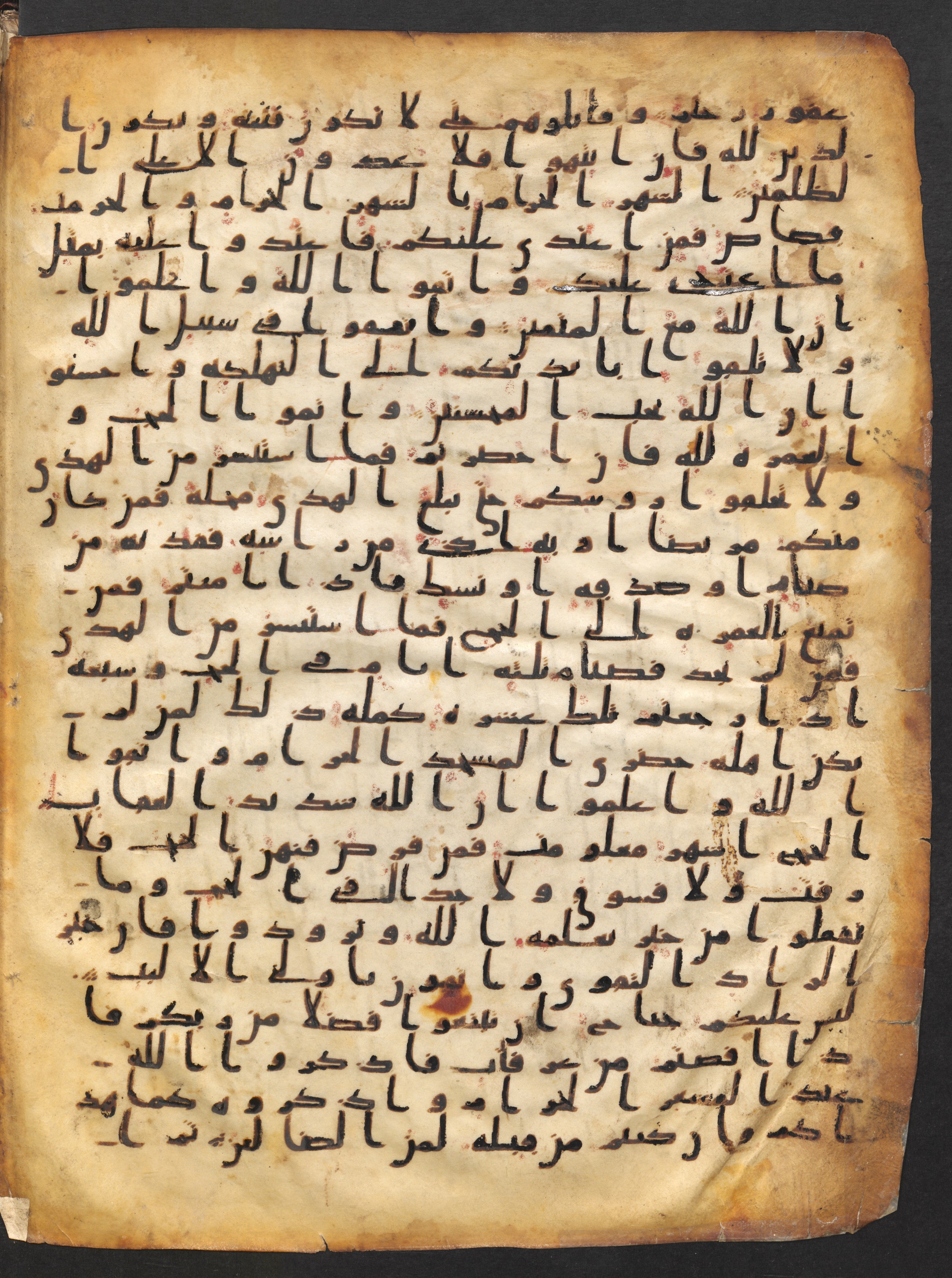 Staatsbibliothek zu Berlin, Ms. or. fol. 4313 (Scan 3), in Ḥiǧāzī (close to type II) script, showing Surah 2:199 from Mid to Late 7th Century AD found in Fustat (Old Cairo), Egypt, currently housed at Staatsbibliothek zu Berlin, Berlin