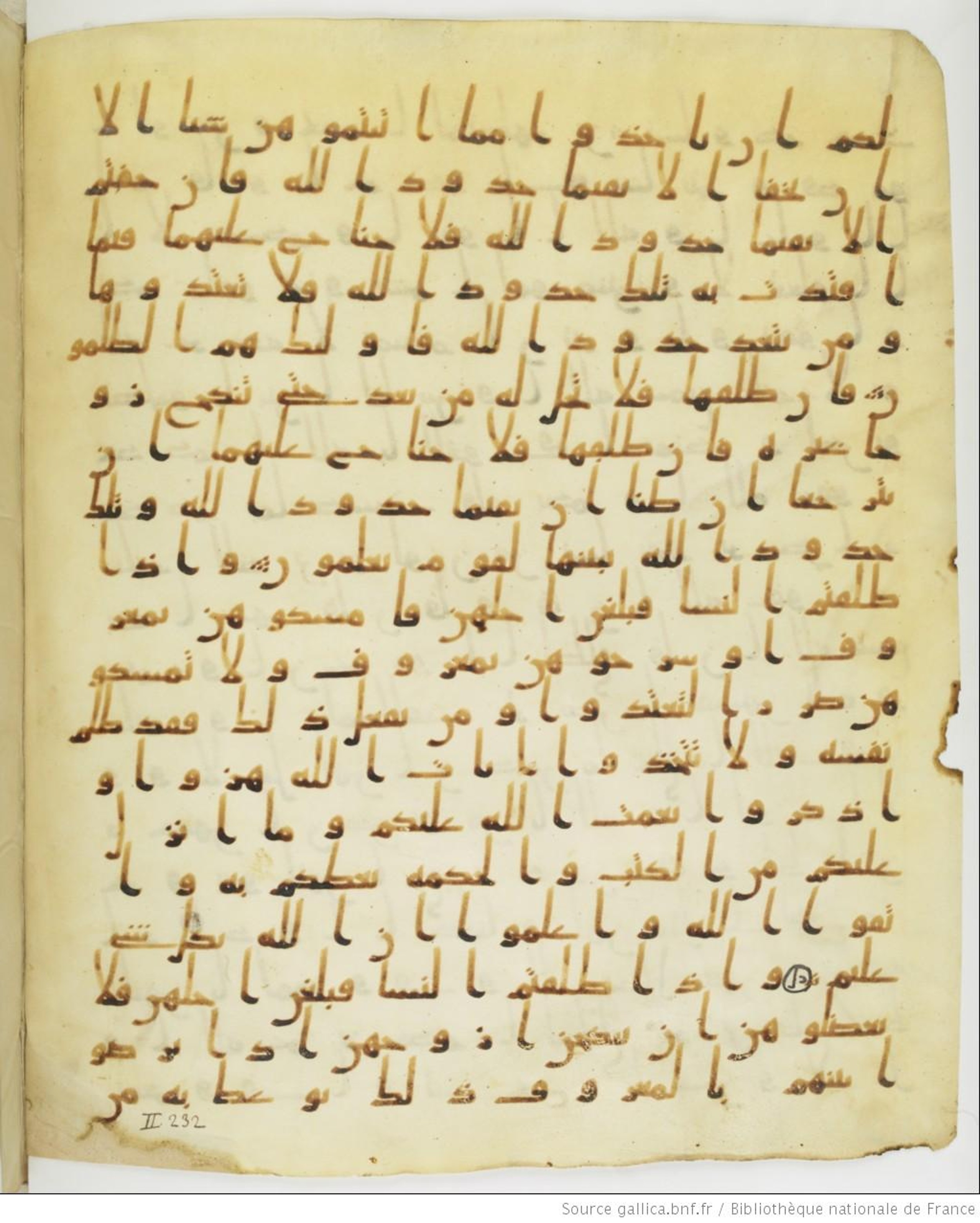 Staatsbibliothek zu Berlin, Ms. or. fol. 4313 (Scan 3), in Ḥiǧāzī (close to type II) script, showing Surah 2:232 from Mid to Late 7th Century AD found in Fustat (Old Cairo), Egypt, currently housed at Staatsbibliothek zu Berlin, Berlin