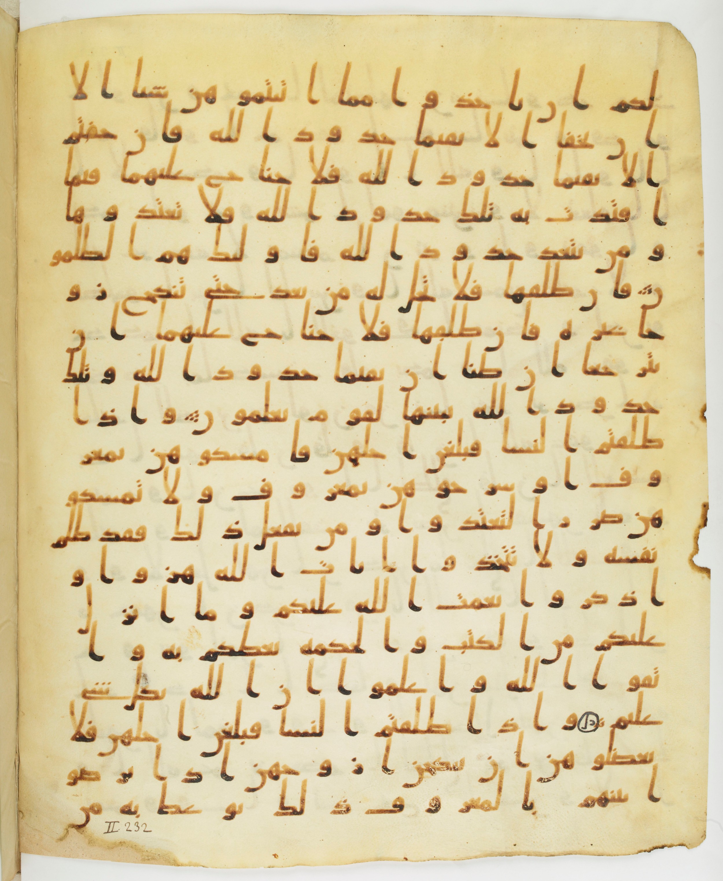 Staatsbibliothek zu Berlin, Ms. or. fol. 4313 (Scan 4), in Ḥiǧāzī (close to type II) script, showing Surah 2:232 from Mid to Late 7th Century AD found in Fustat (Old Cairo), Egypt, currently housed at Staatsbibliothek zu Berlin, Berlin