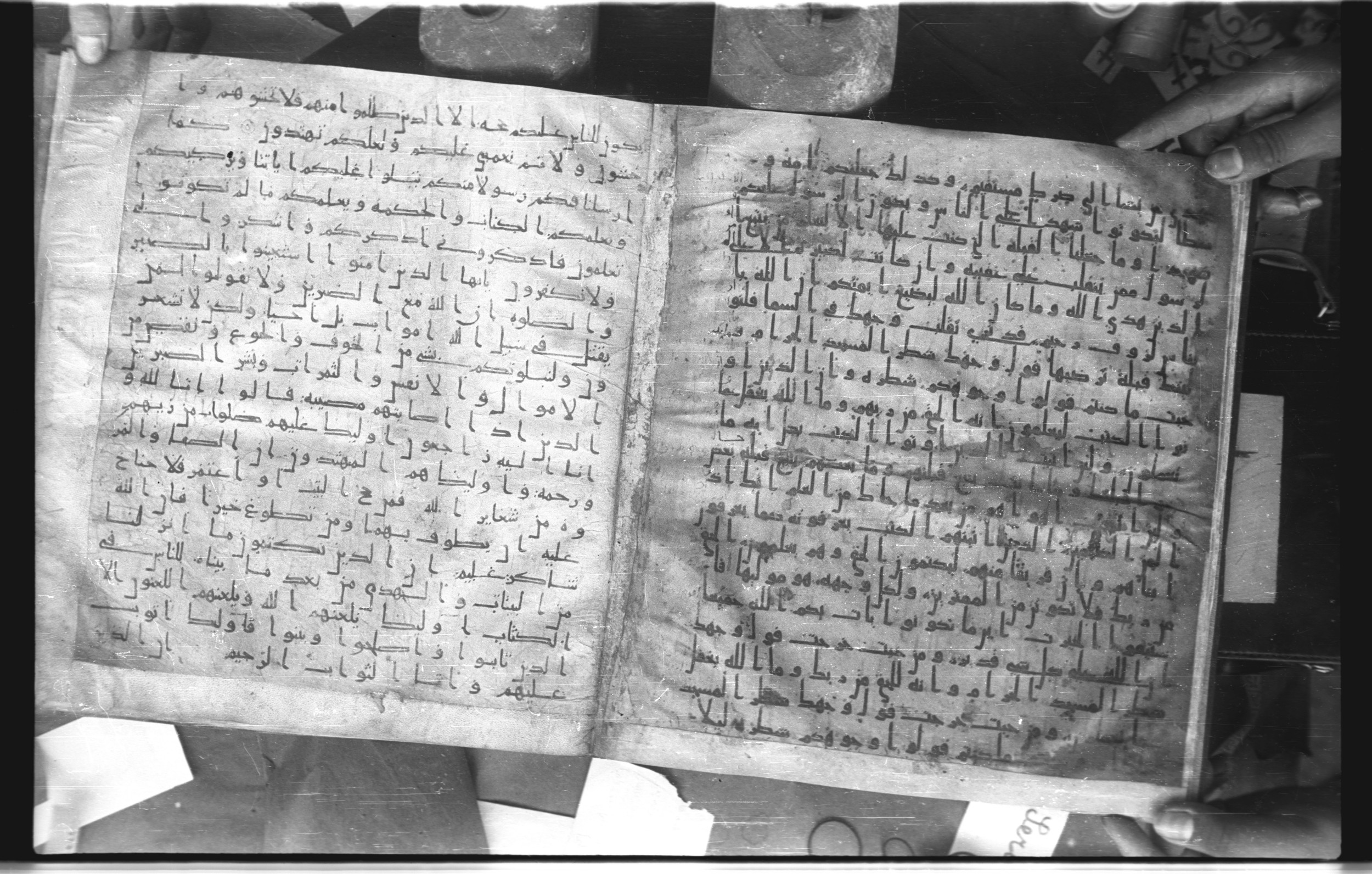 Staatsbibliothek zu Berlin, Ms. or. fol. 4313 (Scan 7), in Ḥiǧāzī (close to type II) script, showing Surah 2:142 from Mid to Late 7th Century AD found in Fustat (Old Cairo), Egypt, currently housed at Staatsbibliothek zu Berlin, Berlin