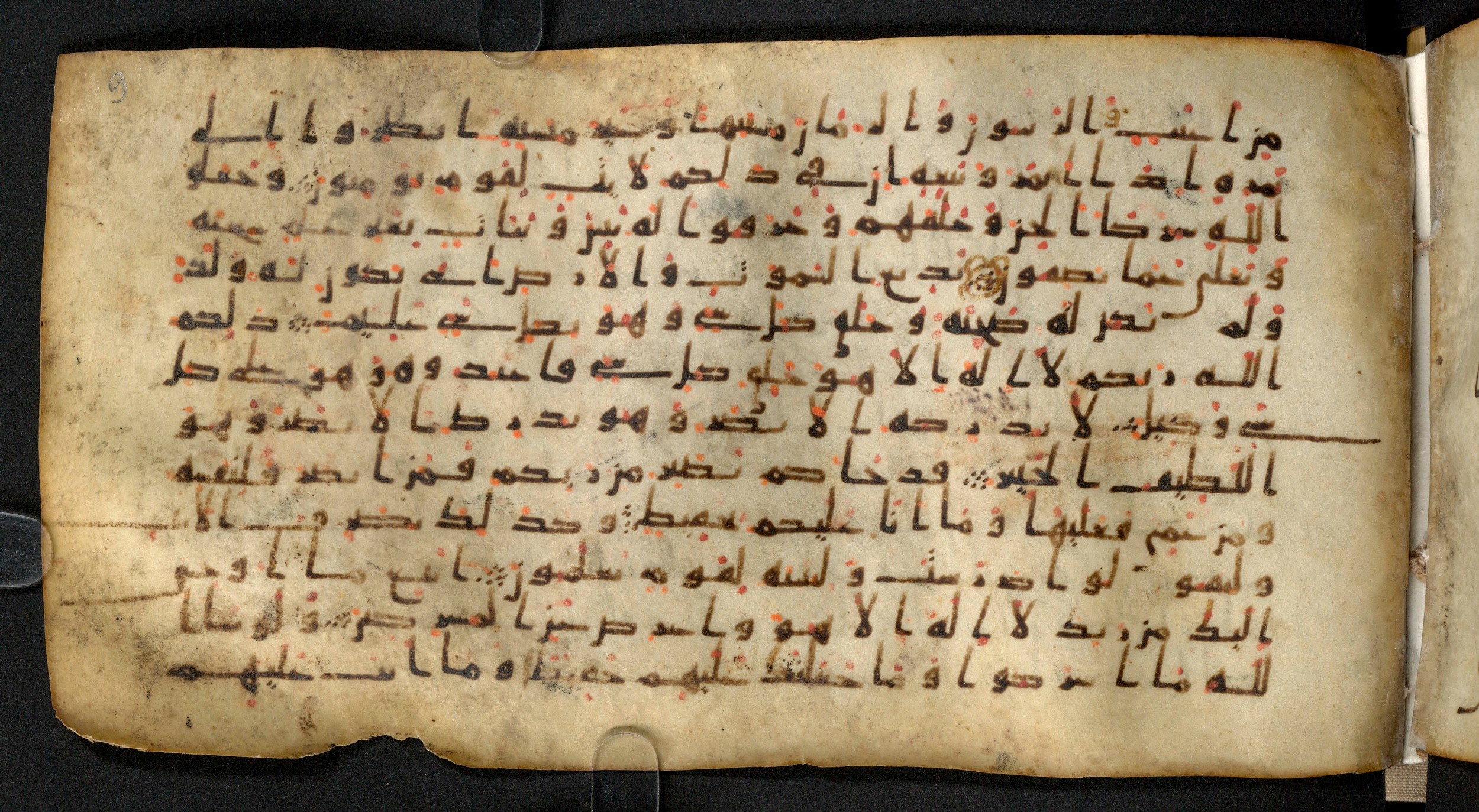 Staatsbibliothek zu Berlin, Ms. or. fol. 4313 (Scan 4), in Ḥiǧāzī (close to type II) script, showing Surah 6:103 from Mid to Late 7th Century AD found in Fustat (Old Cairo), Egypt, currently housed at Staatsbibliothek zu Berlin, Berlin