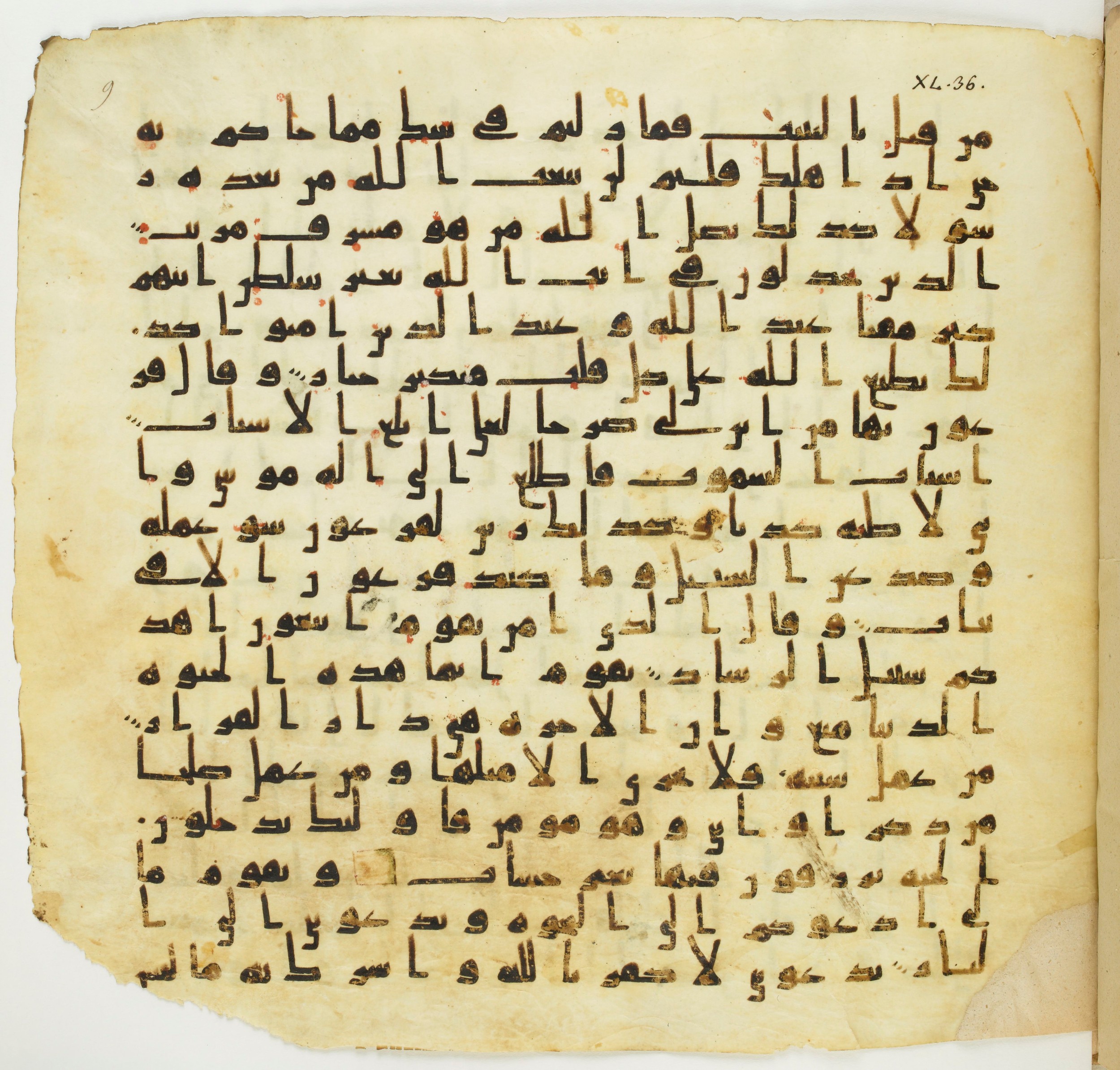 Staatsbibliothek zu Berlin, Ms. or. fol. 4313 (Scan 6), in Ḥiǧāzī (close to type II) script, showing Surah 40:39 from Mid to Late 7th Century AD found in Fustat (Old Cairo), Egypt, currently housed at Staatsbibliothek zu Berlin, Berlin