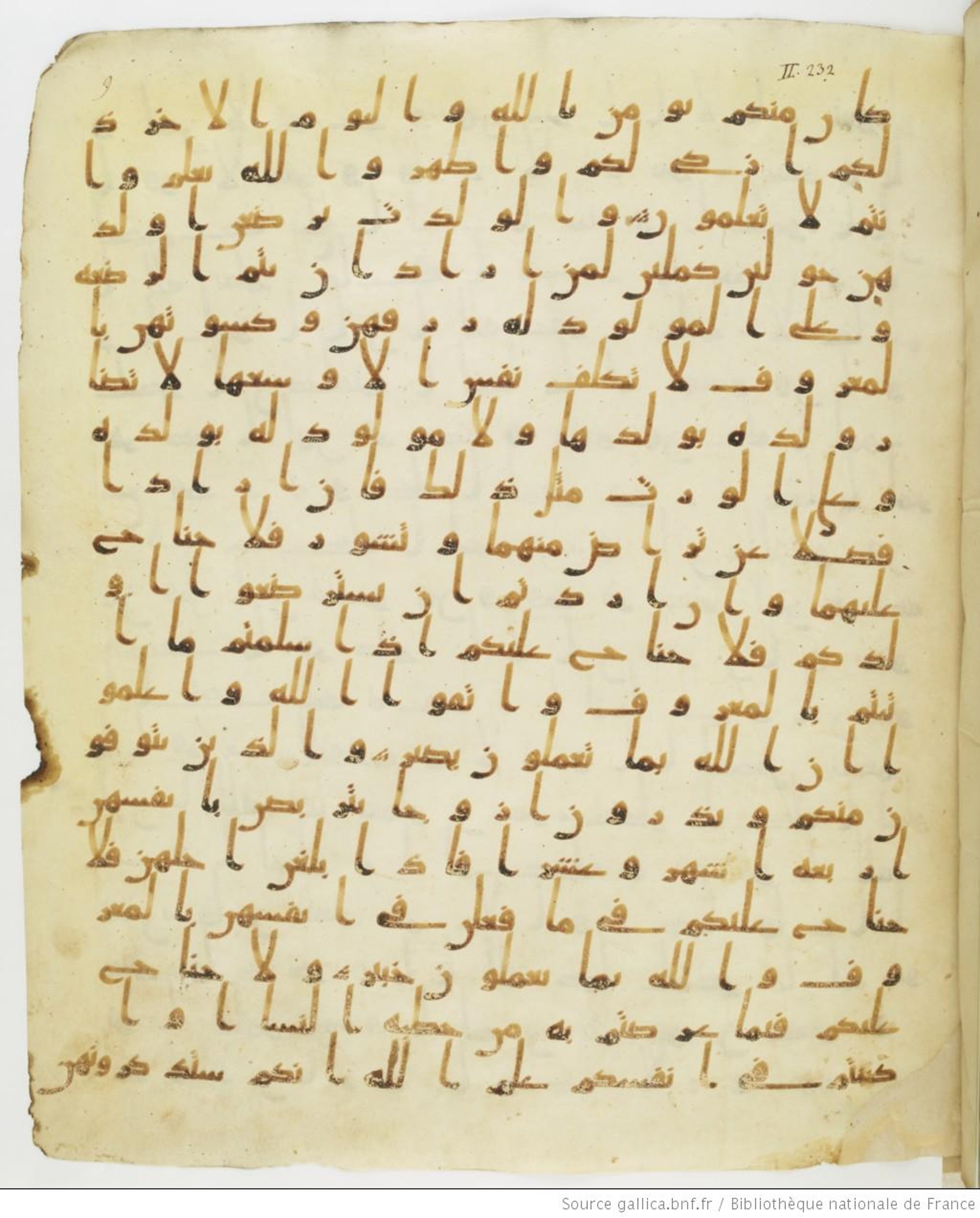 Staatsbibliothek zu Berlin, Ms. or. fol. 4313 (Scan 5), in Ḥiǧāzī (close to type II) script, showing Surah 2:232 from Mid to Late 7th Century AD found in Fustat (Old Cairo), Egypt, currently housed at Staatsbibliothek zu Berlin, Berlin