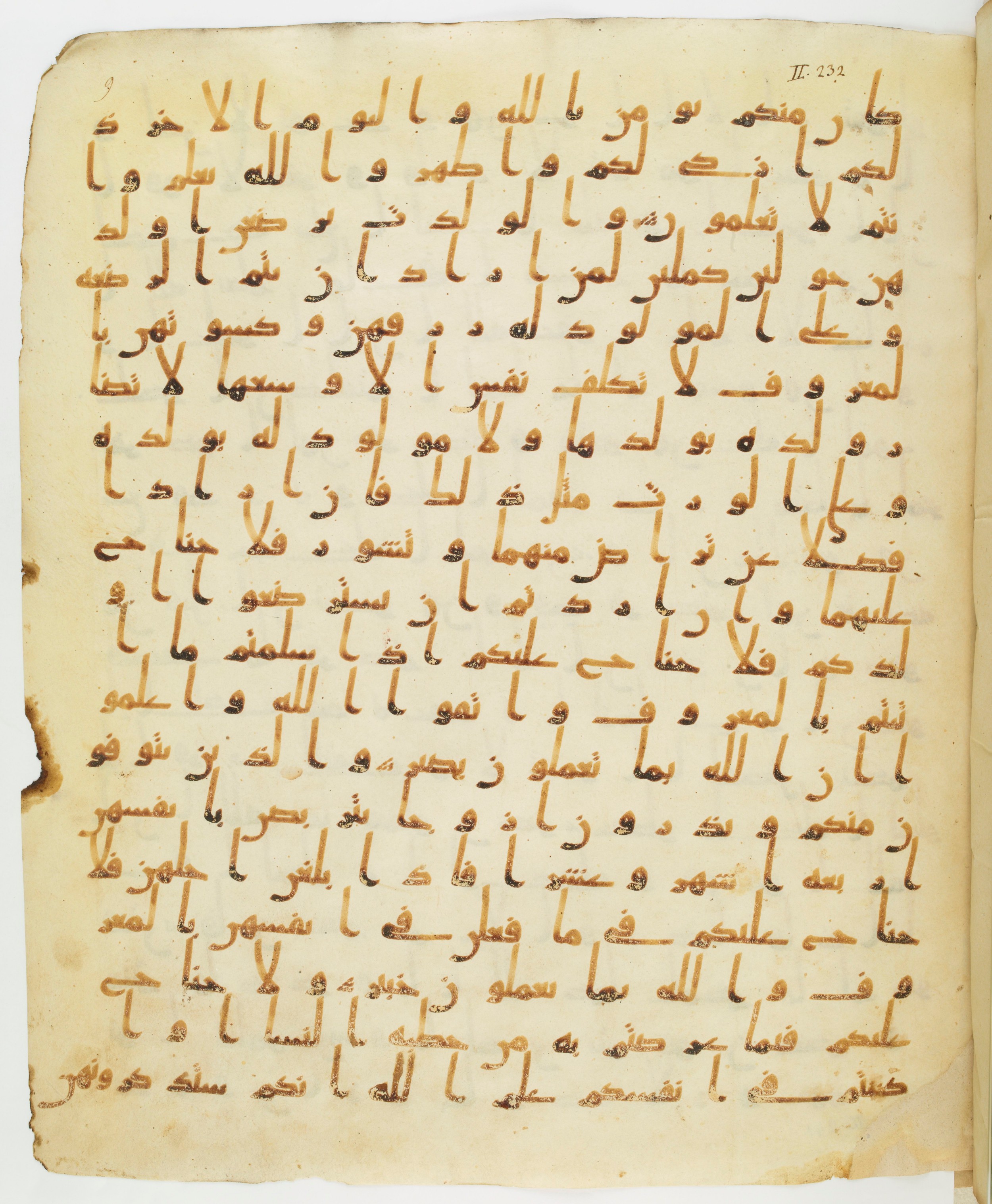 Staatsbibliothek zu Berlin, Ms. or. fol. 4313 (Scan 6), in Ḥiǧāzī (close to type II) script, showing Surah 2:232 from Mid to Late 7th Century AD found in Fustat (Old Cairo), Egypt, currently housed at Staatsbibliothek zu Berlin, Berlin