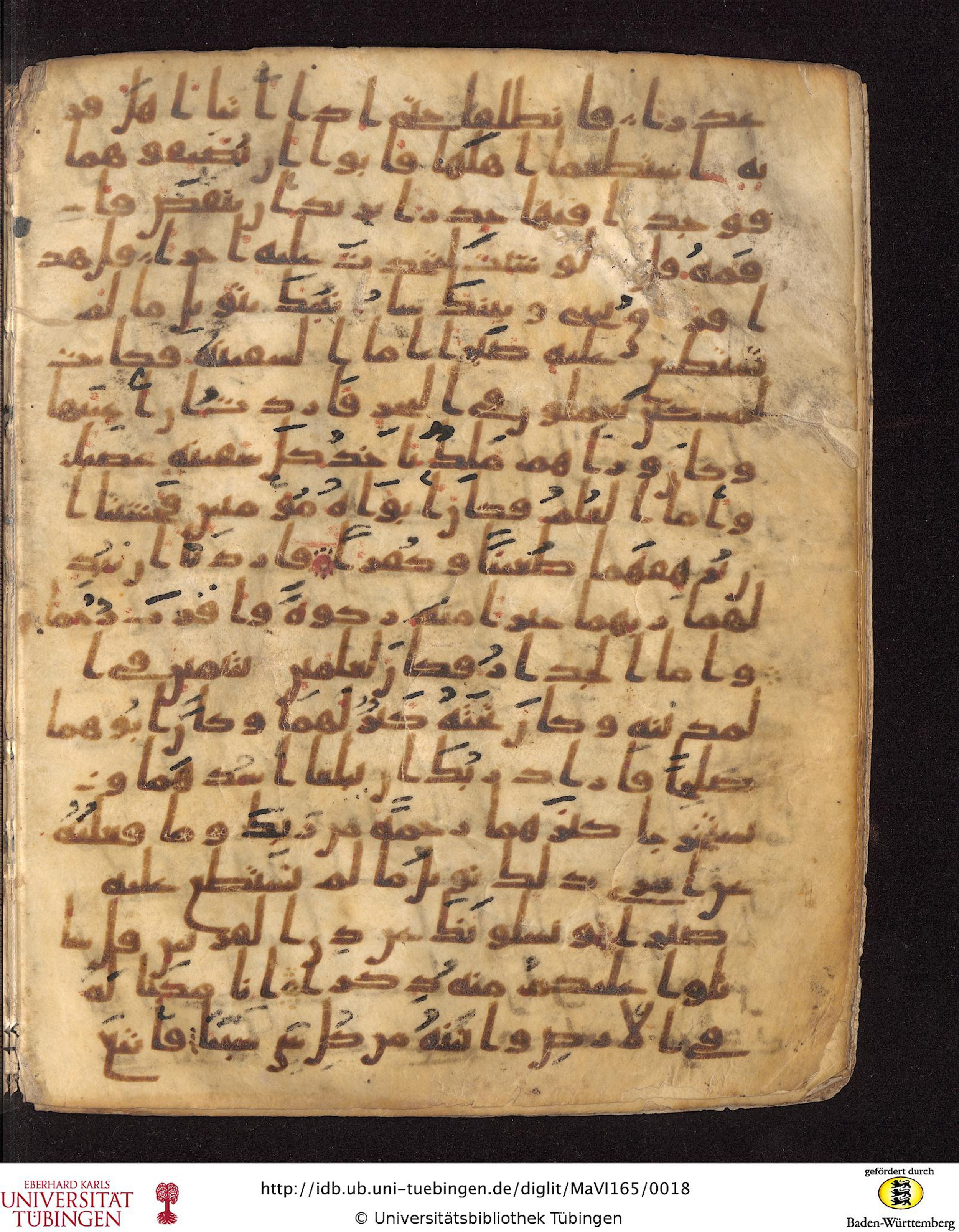 Staatsbibliothek zu Berlin, Ms. or. fol. 4313 (Scan 3), in Ḥiǧāzī (close to type II) script, showing Surah 18:83 from Mid to Late 7th Century AD found in Fustat (Old Cairo), Egypt, currently housed at Staatsbibliothek zu Berlin, Berlin