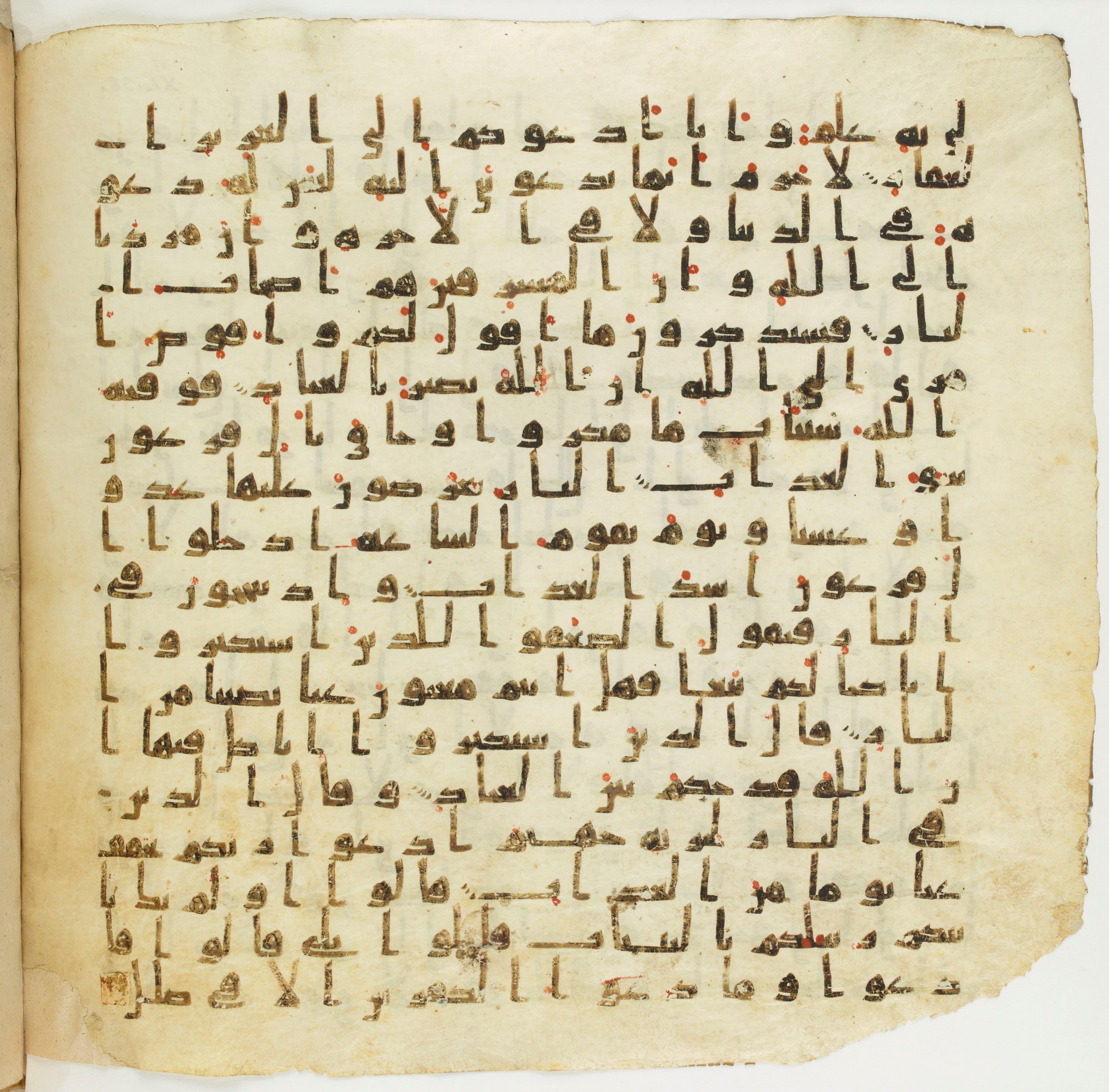 Staatsbibliothek zu Berlin, Ms. or. fol. 4313 (Scan 7), in Ḥiǧāzī (close to type II) script, showing Surah 40:49 from Mid to Late 7th Century AD found in Fustat (Old Cairo), Egypt, currently housed at Staatsbibliothek zu Berlin, Berlin
