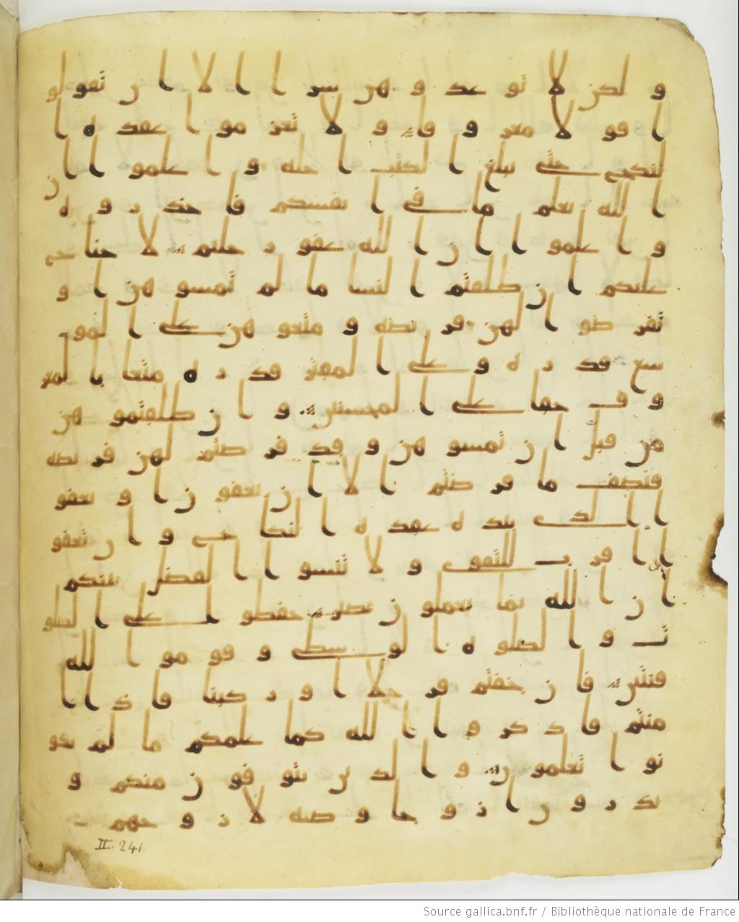 Staatsbibliothek zu Berlin, Ms. or. fol. 4313 (Scan 4), in Ḥiǧāzī (close to type II) script, showing Surah 2:239 from Mid to Late 7th Century AD found in Fustat (Old Cairo), Egypt, currently housed at Staatsbibliothek zu Berlin, Berlin