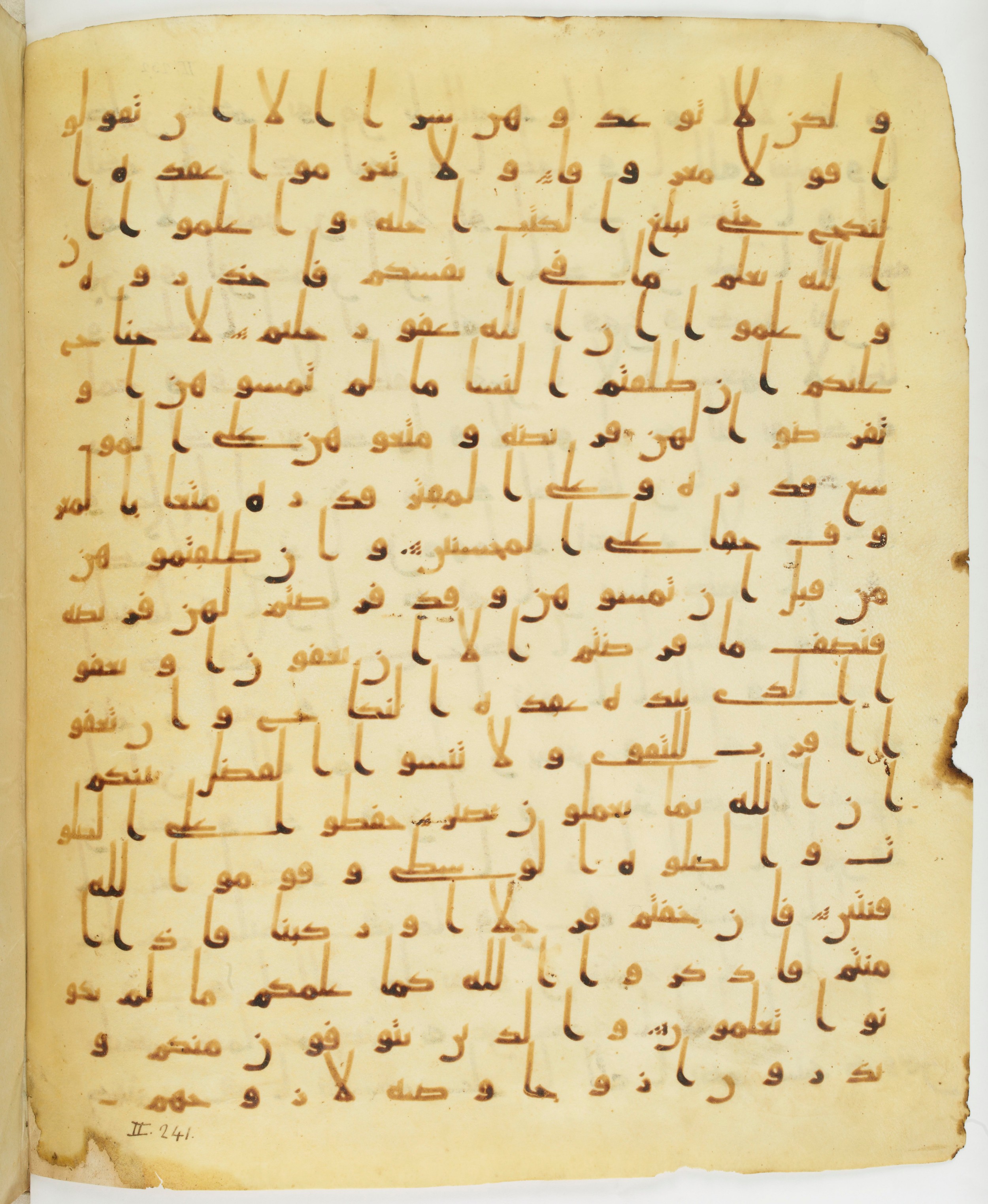 Staatsbibliothek zu Berlin, Ms. or. fol. 4313 (Scan 5), in Ḥiǧāzī (close to type II) script, showing Surah 2:239 from Mid to Late 7th Century AD found in Fustat (Old Cairo), Egypt, currently housed at Staatsbibliothek zu Berlin, Berlin
