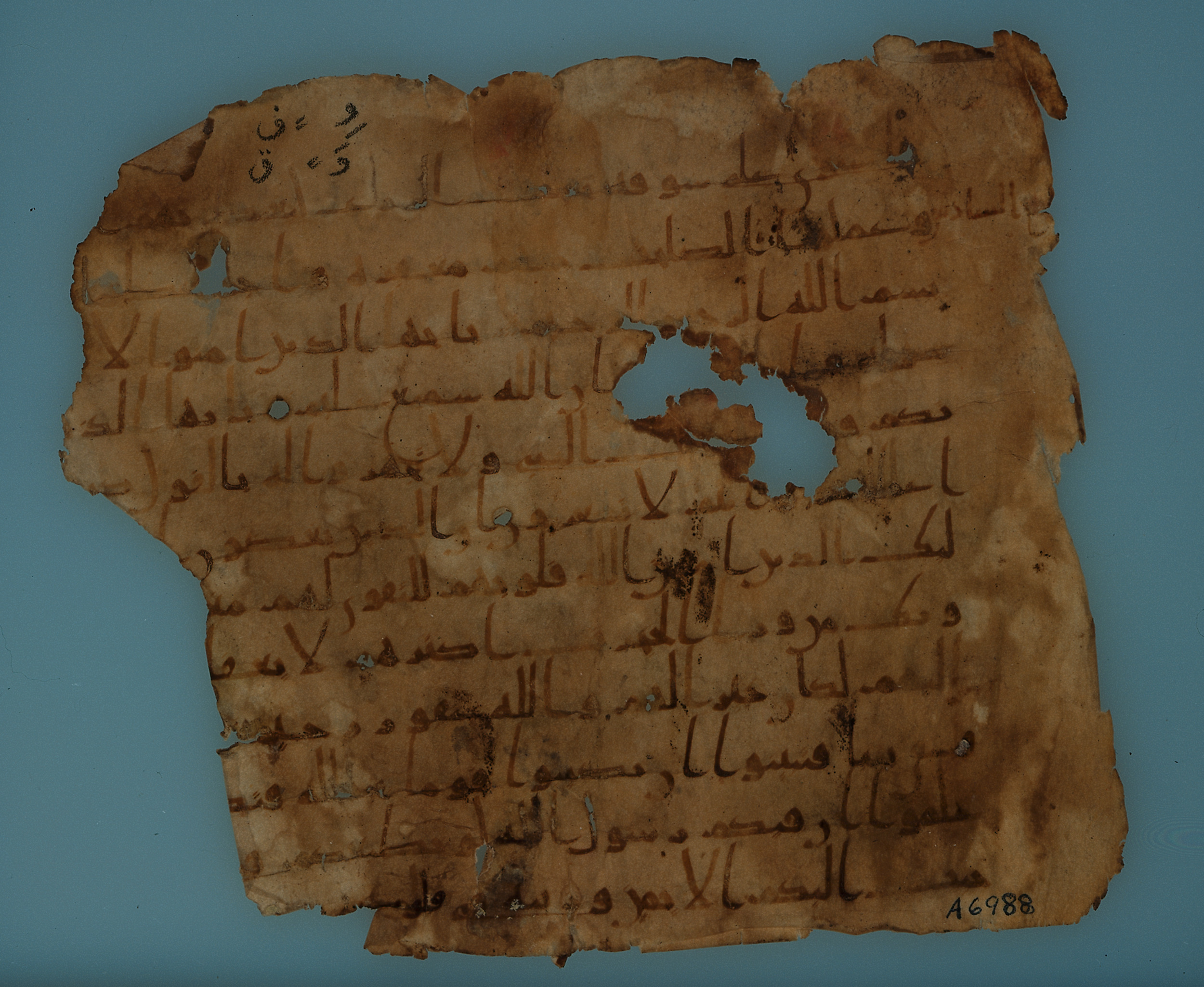 Codex Chicago A 6988 / Paris Arabe 7201 (Scan 1), in Ḥiǧāzī script, showing Surah 49:2 from Mid 7th to Mid 8th Century AD found in Asyut, Egypt, currently housed at Institute for the Study of Ancient Cultures, Chicago; Bibliothèque nationale de France, Paris