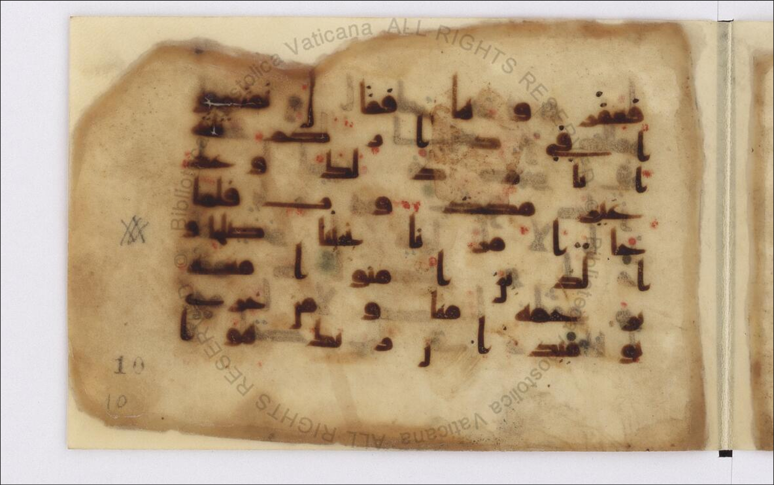 Paris, Bibliothèque nationale de France, Arabe 324 (c) (Scan 1), in Kufic C (Graphie C I a) script, showing Surah 11:66 from 8th Century AD found in Fustat (Old Cairo), Egypt, currently housed at Bibliothèque nationale de France, Paris