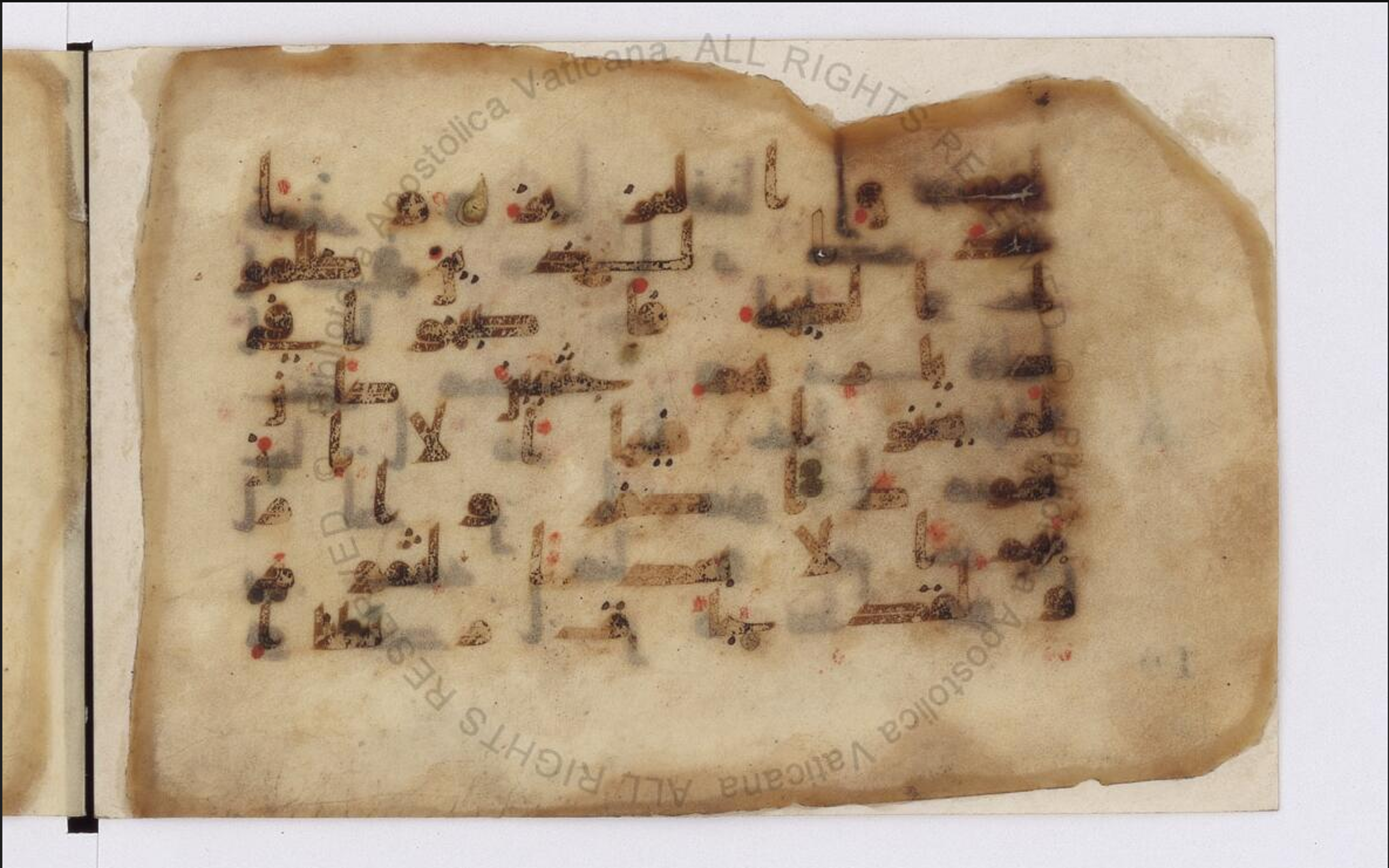 Paris, Bibliothèque nationale de France, Arabe 324 (c) (Scan 1), in Kufic C (Graphie C I a) script, showing Surah 11:69 from 8th Century AD found in Fustat (Old Cairo), Egypt, currently housed at Bibliothèque nationale de France, Paris