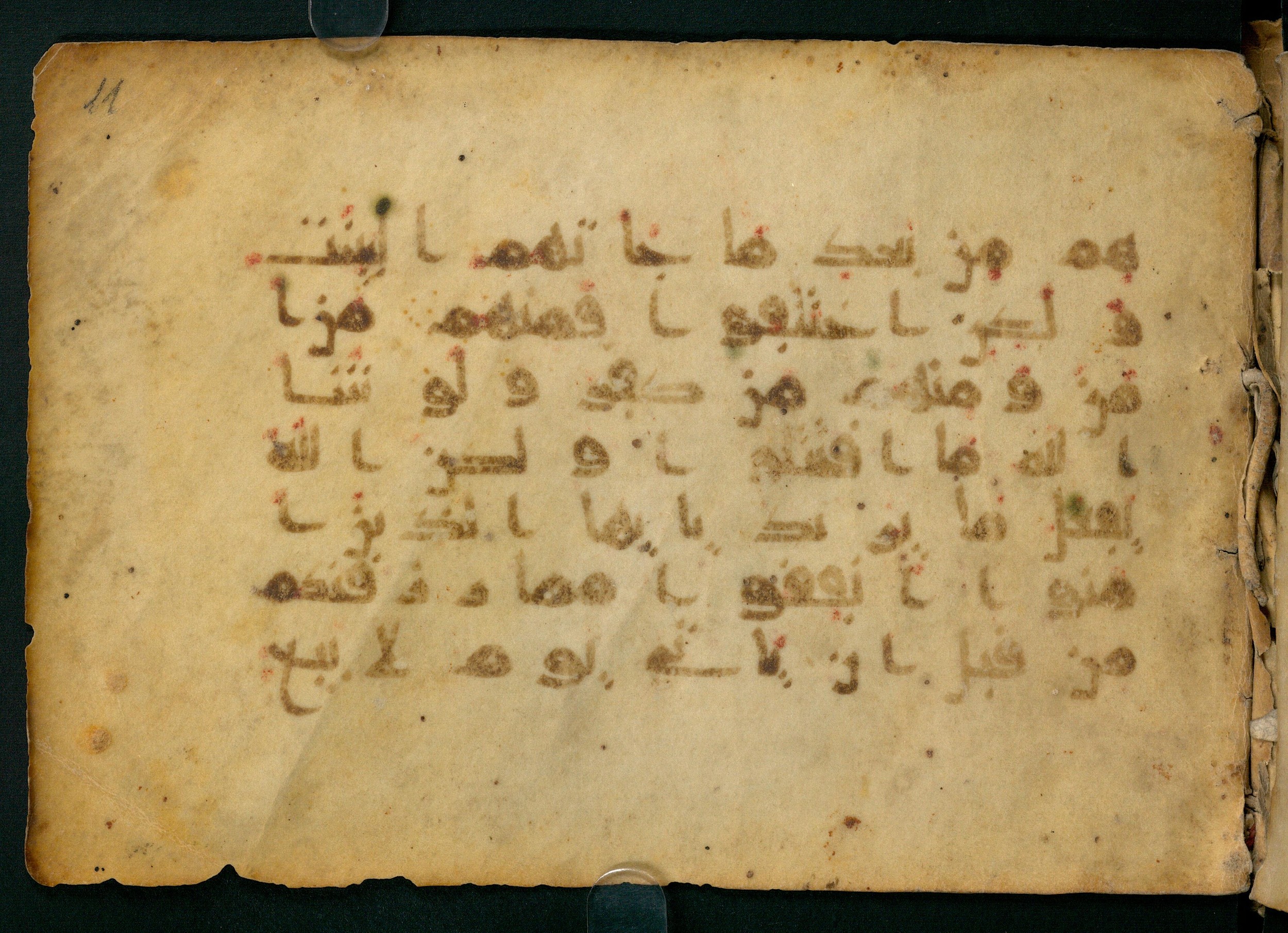 Paris, Bibliothèque nationale de France, Arabe 324 (c) (Scan 1), in Kufic C (Graphie C I a) script, showing Surah 2:253 from 8th Century AD found in Fustat (Old Cairo), Egypt, currently housed at Bibliothèque nationale de France, Paris