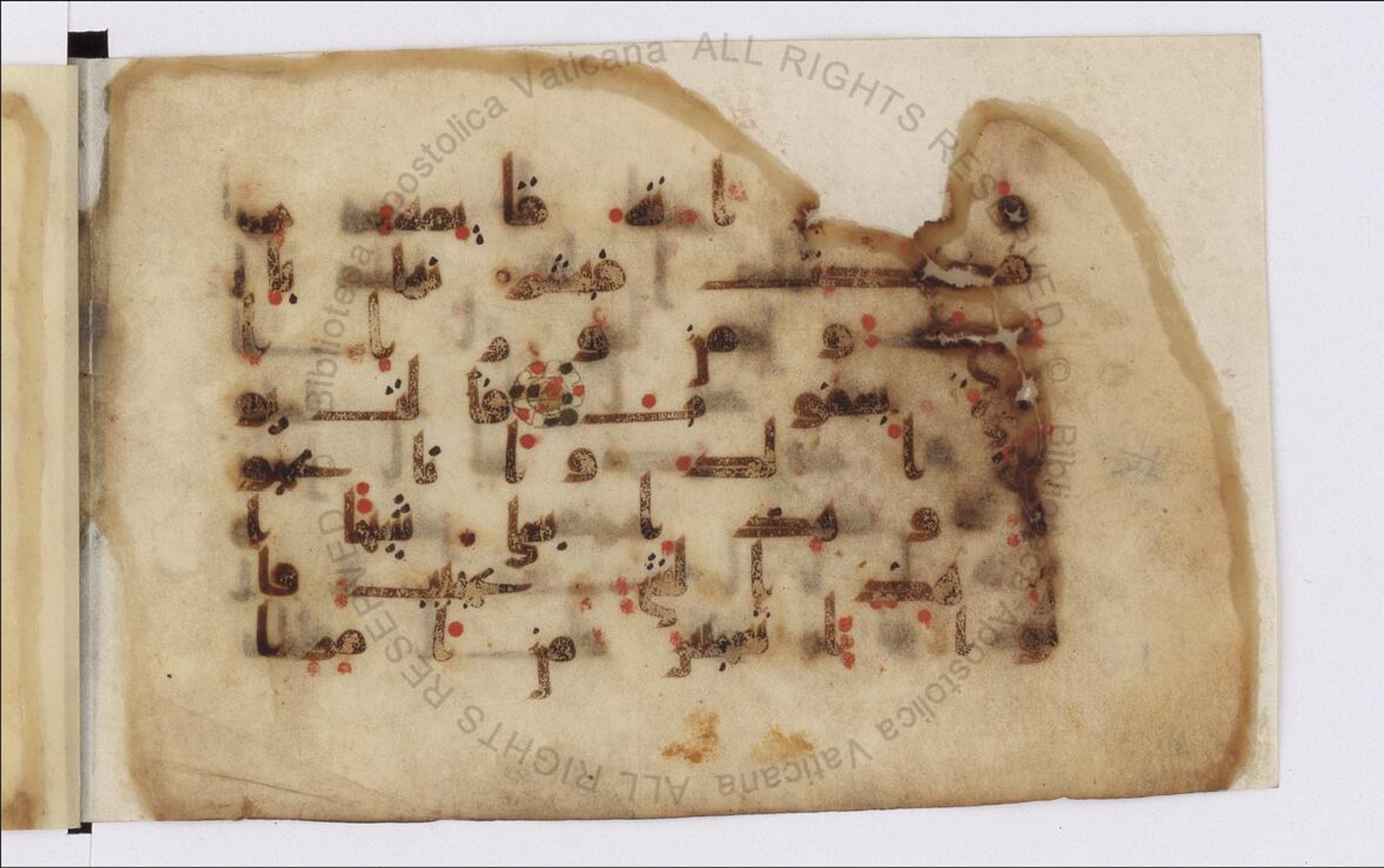 Paris, Bibliothèque nationale de France, Arabe 324 (c) (Scan 1), in Kufic C (Graphie C I a) script, showing Surah 11:73 from 8th Century AD found in Fustat (Old Cairo), Egypt, currently housed at Bibliothèque nationale de France, Paris